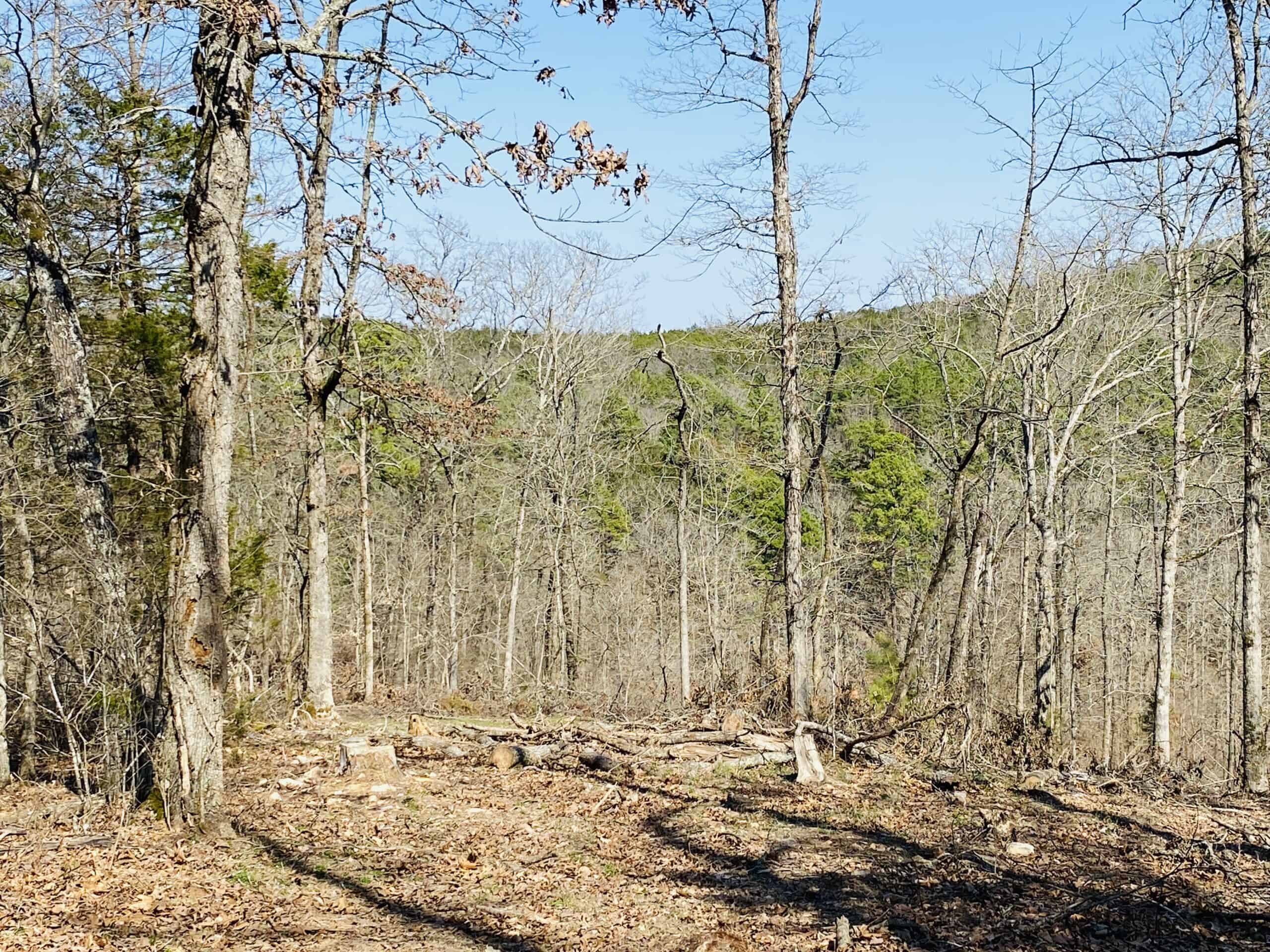 RURAL RIVERFRONT LAND WITH GREAT VIEWS FOR SALE IN ARKANSAS