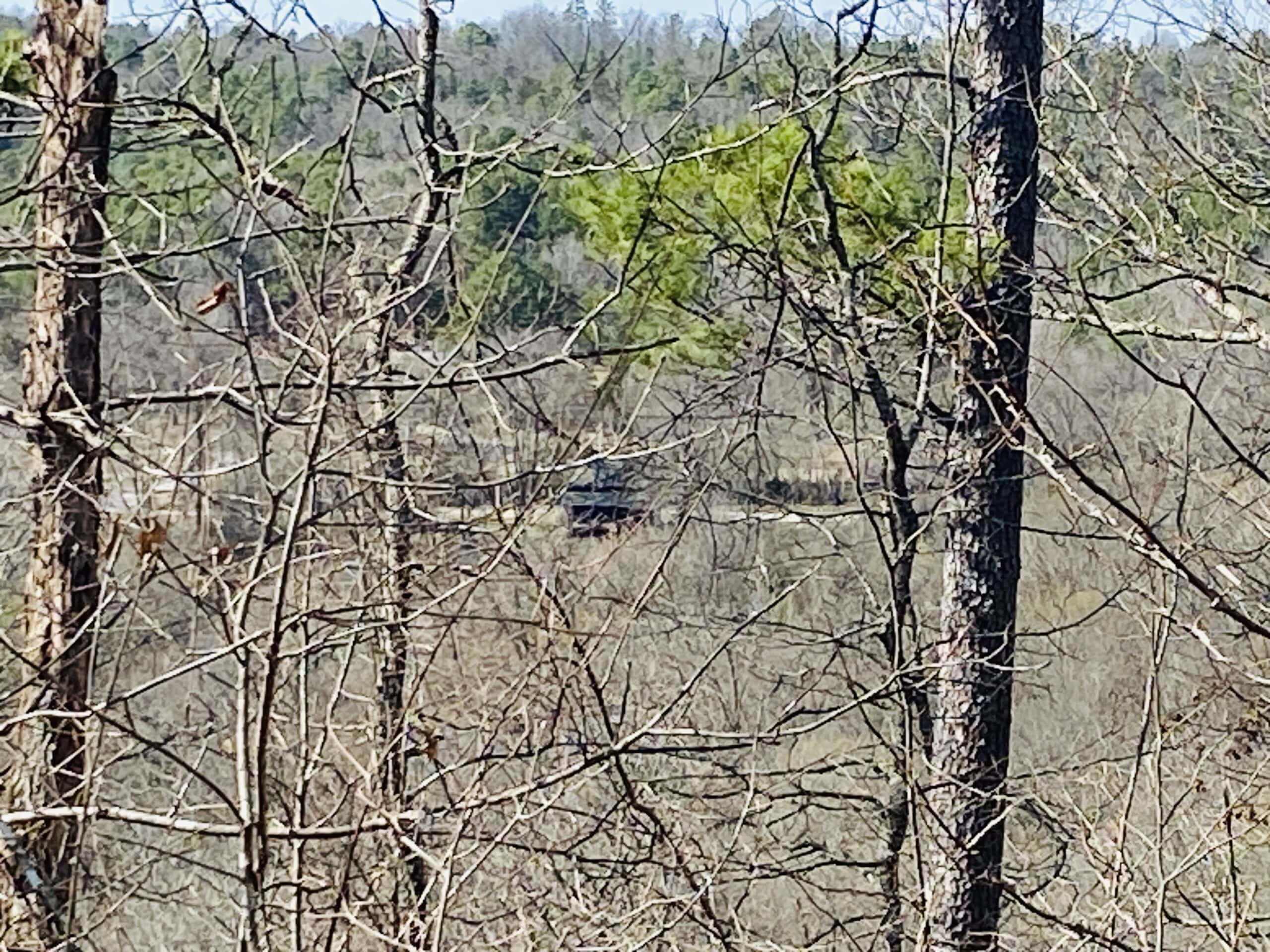RURAL RIVERFRONT LAND WITH GREAT VIEWS FOR SALE IN ARKANSAS