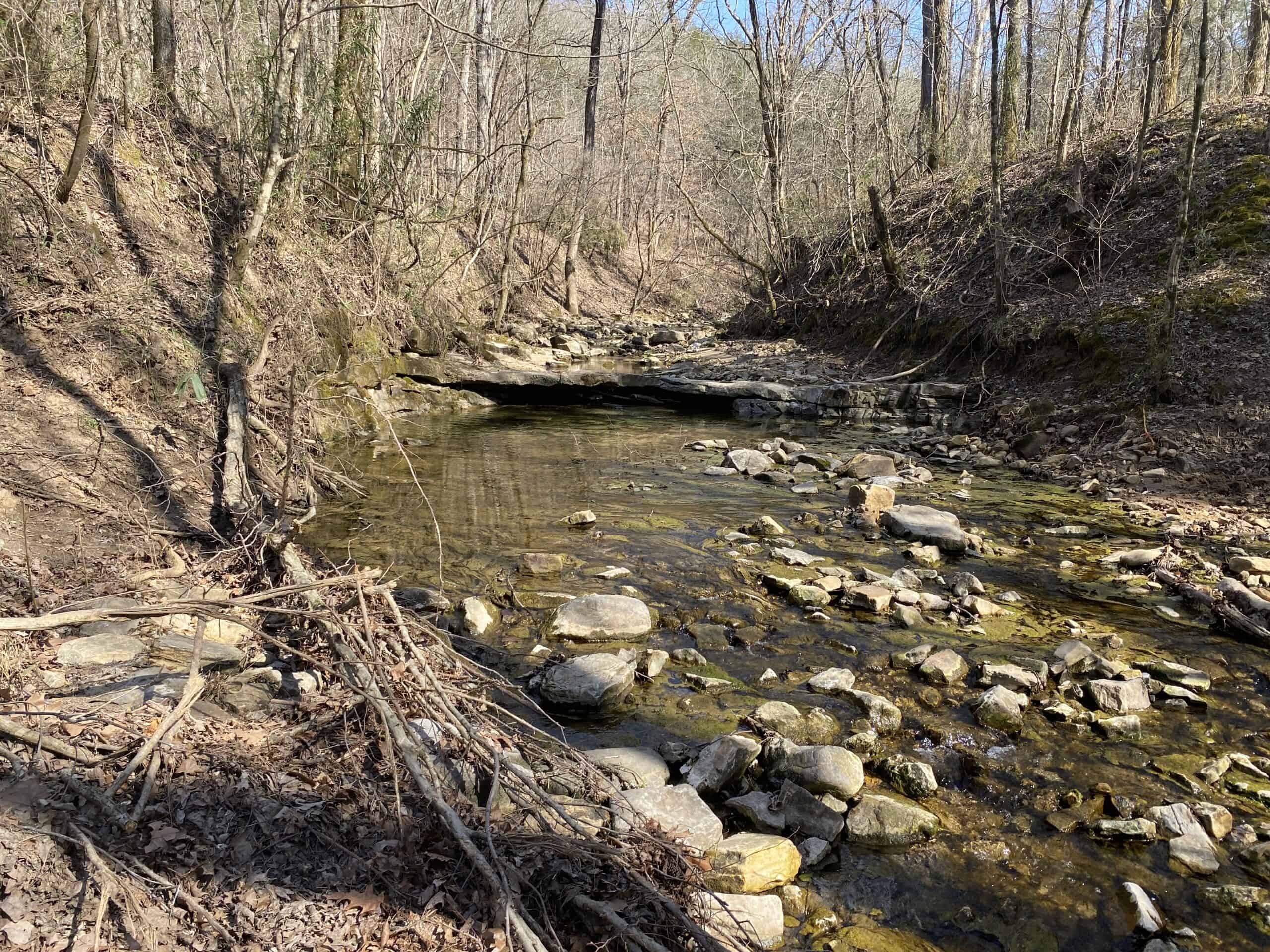 RURAL RIVERFRONT LAND WITH GREAT VIEWS FOR SALE IN ARKANSAS