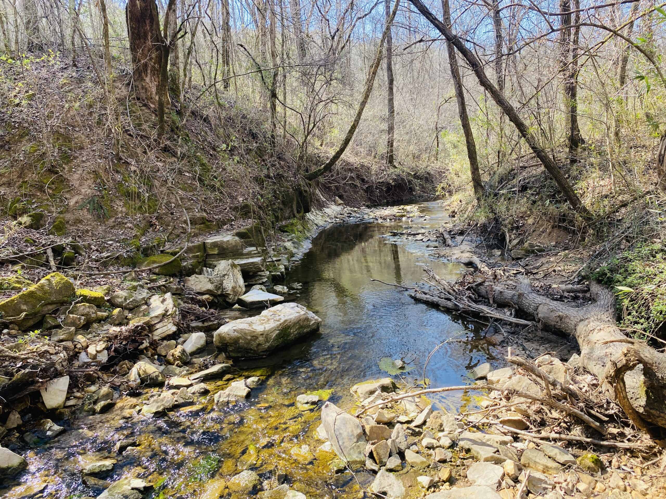 RURAL RIVERFRONT LAND WITH GREAT VIEWS FOR SALE IN ARKANSAS