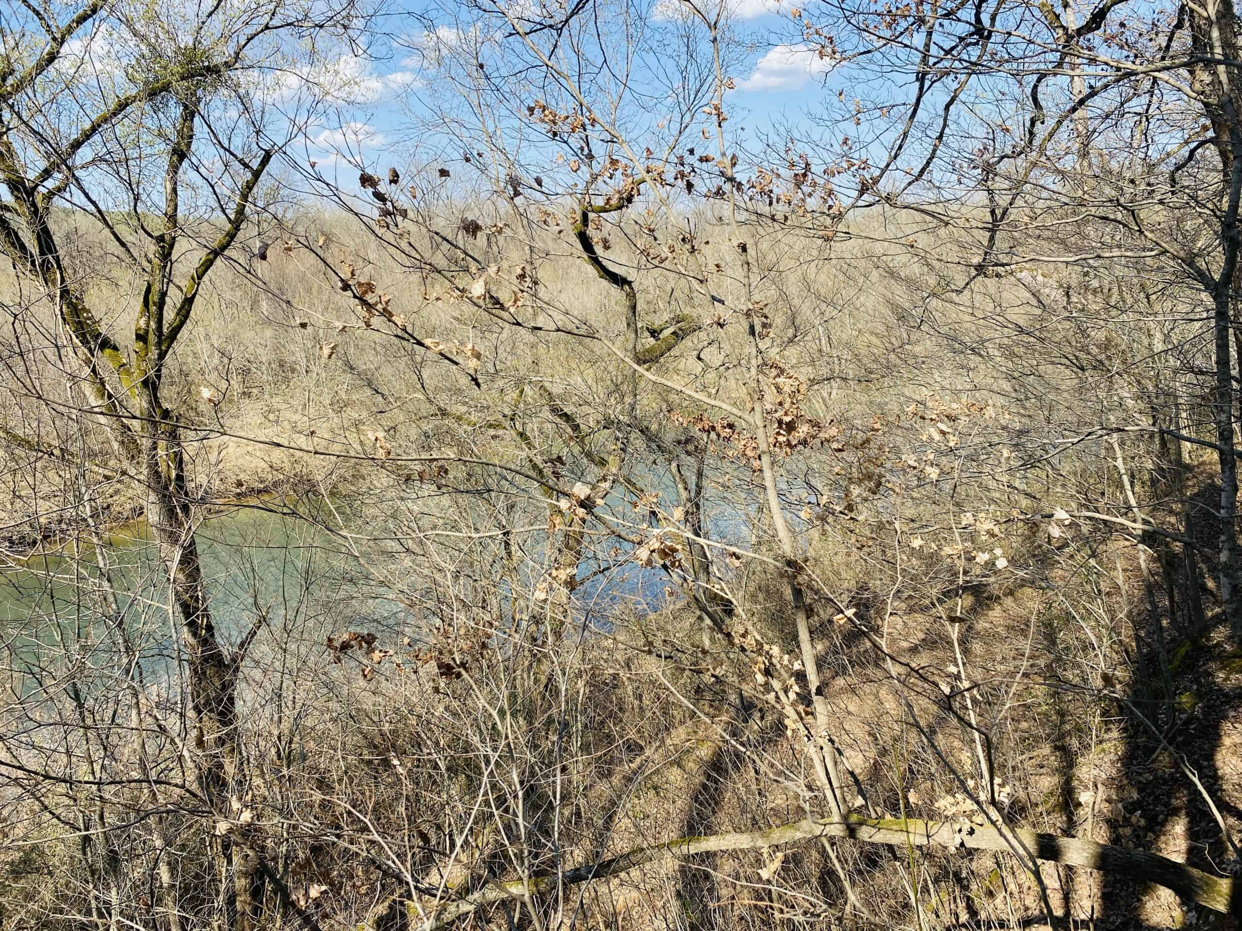 RURAL RIVERFRONT LAND WITH GREAT VIEWS FOR SALE IN ARKANSAS