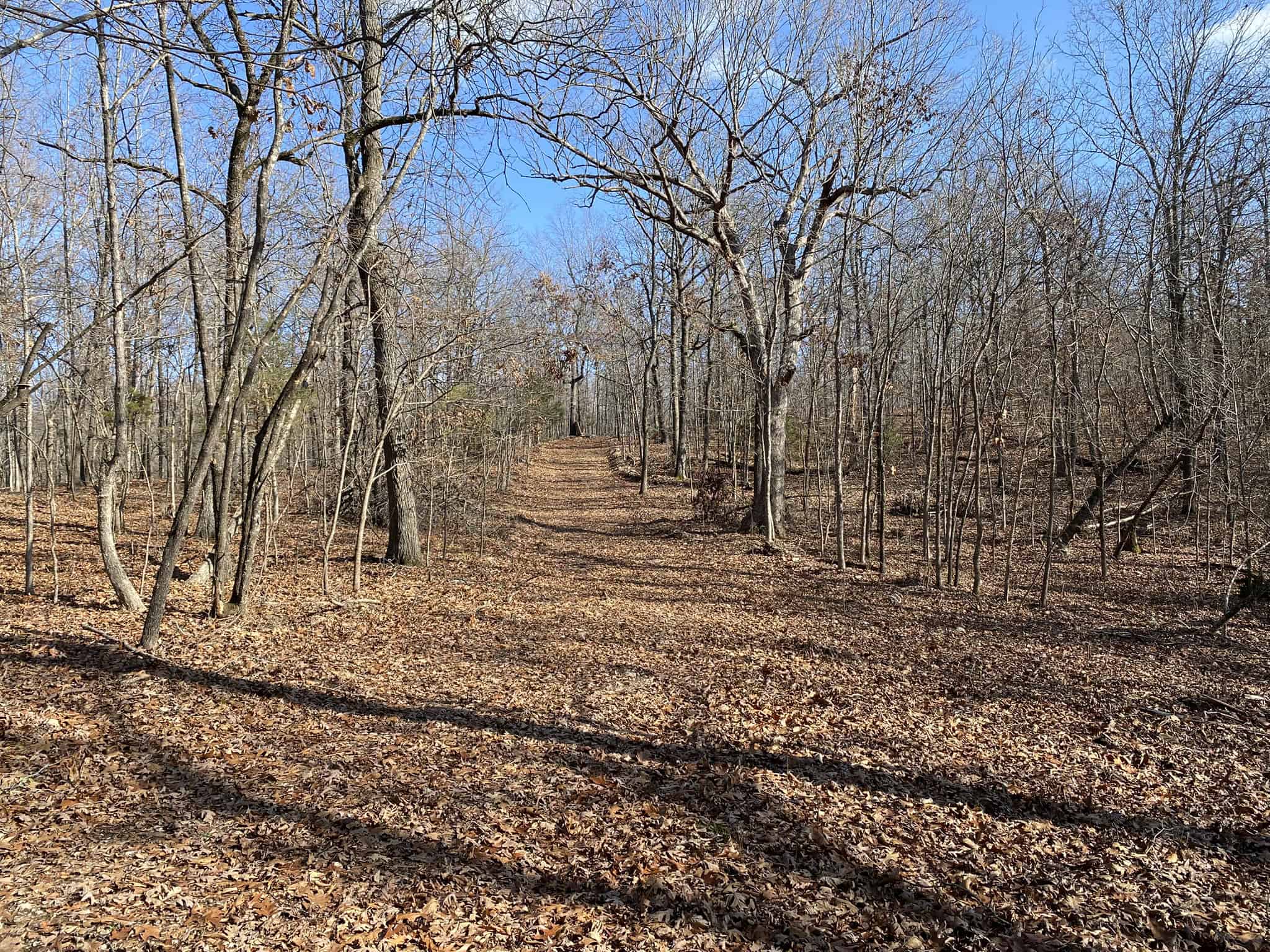 HUNTING LAND FOR SALE IN NORTH CENTRAL ARKANSAS