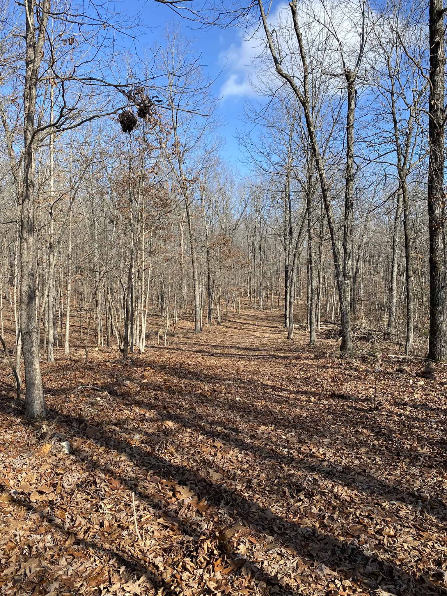 HUNTING LAND FOR SALE IN NORTH CENTRAL ARKANSAS