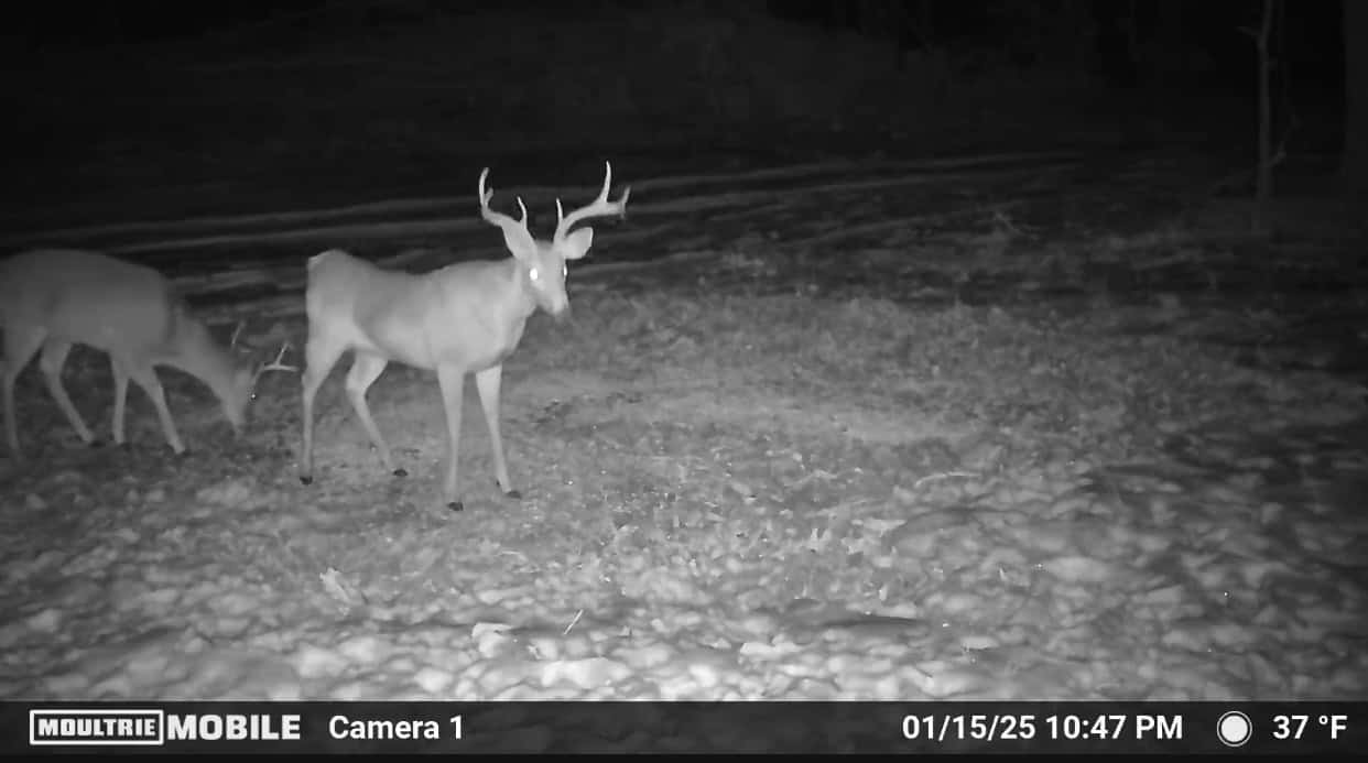 HUNTING LAND FOR SALE IN NORTH CENTRAL ARKANSAS