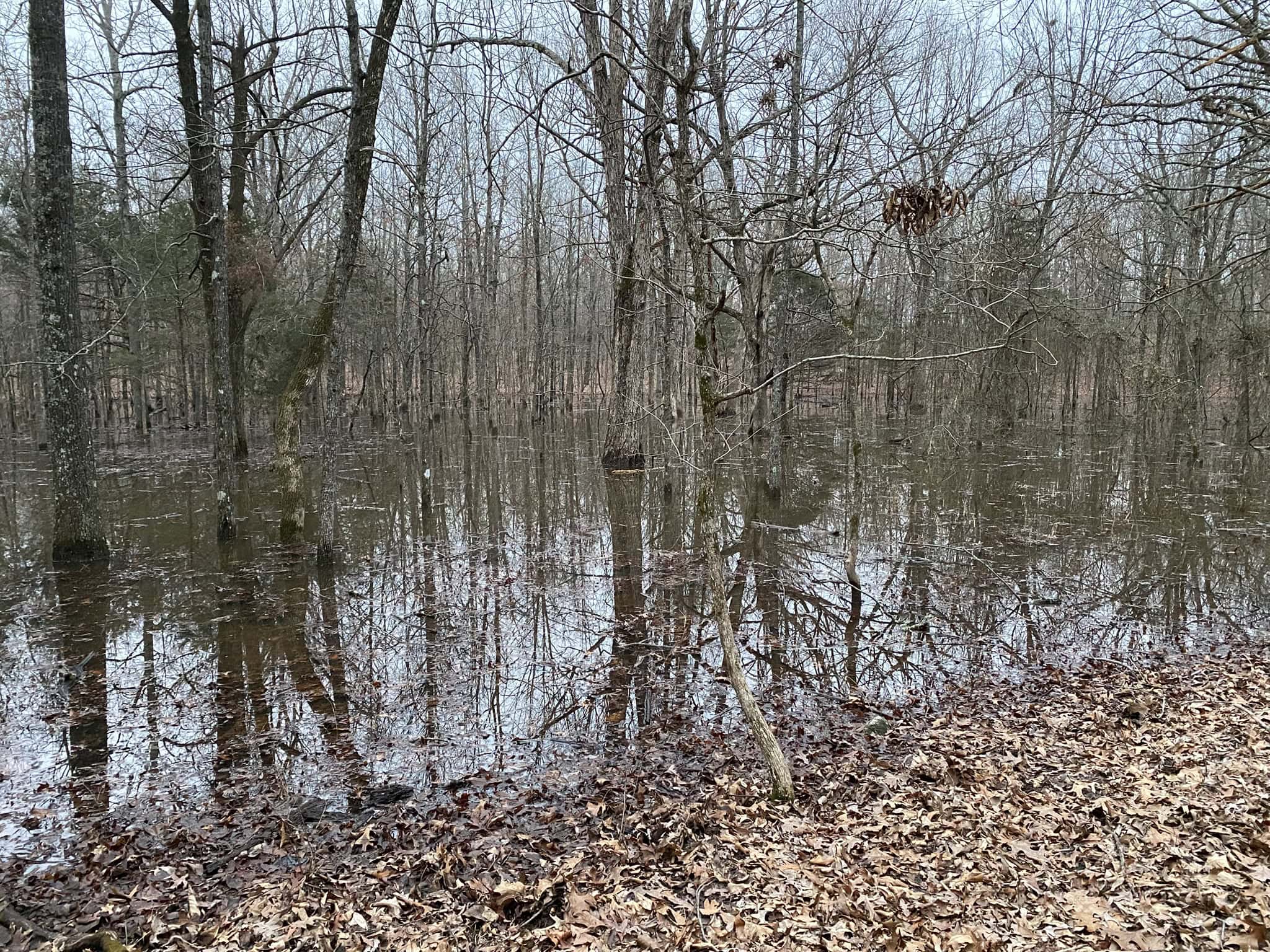 HUNTING LAND FOR SALE IN NORTH CENTRAL ARKANSAS
