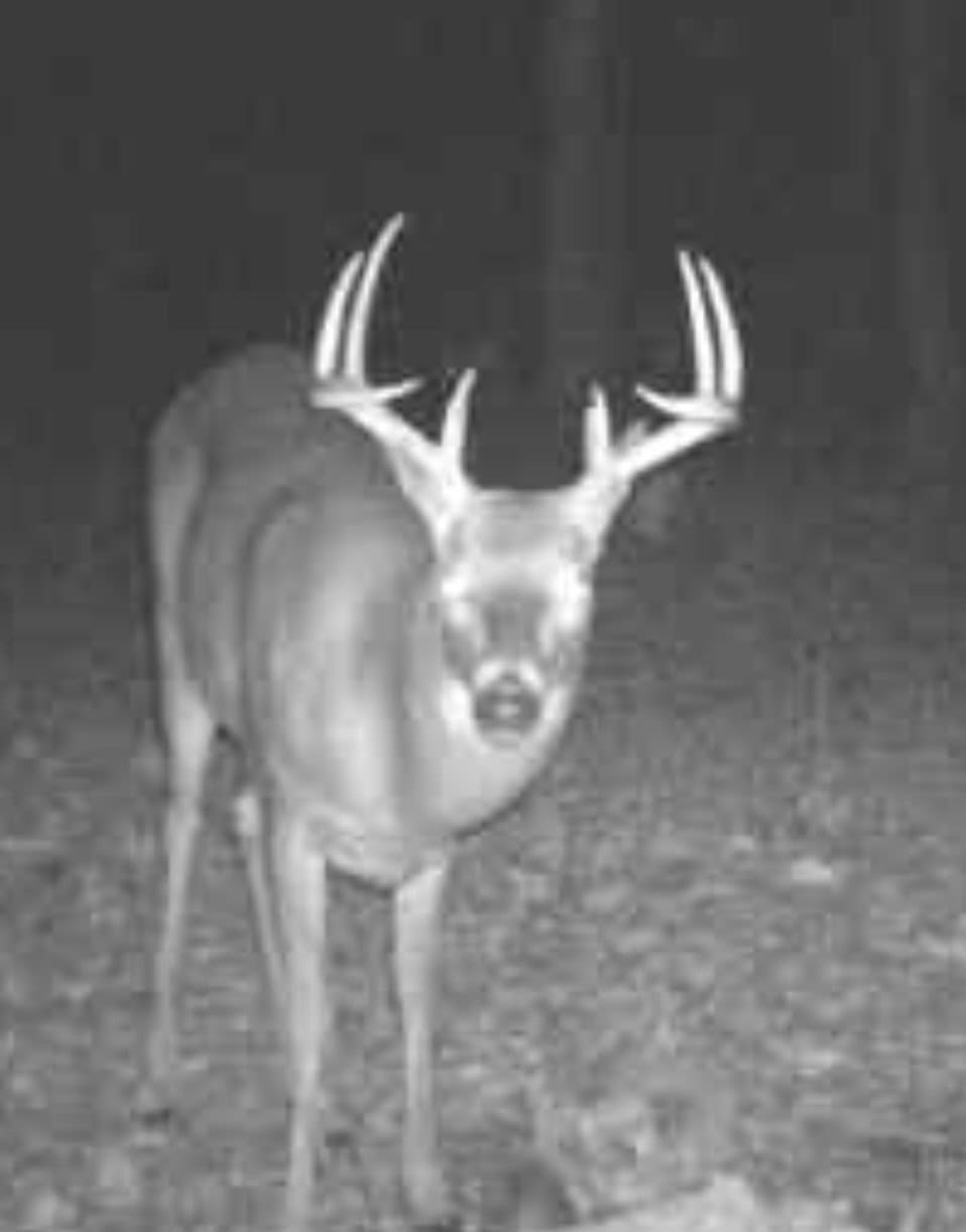 Hunting land in Michigan