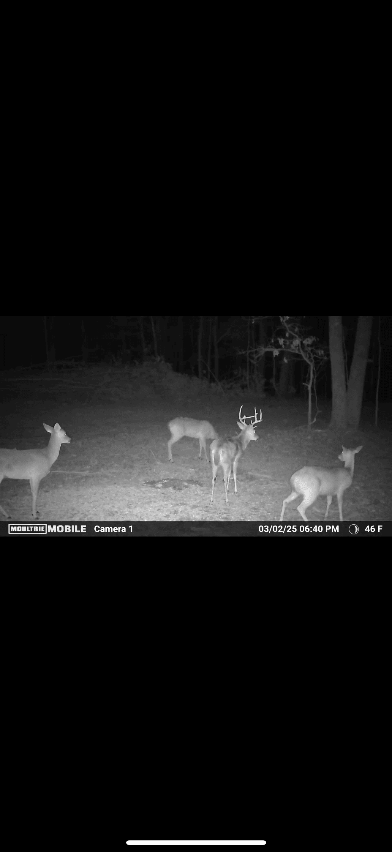 HUNTING LAND FOR SALE IN NORTH CENTRAL ARKANSAS