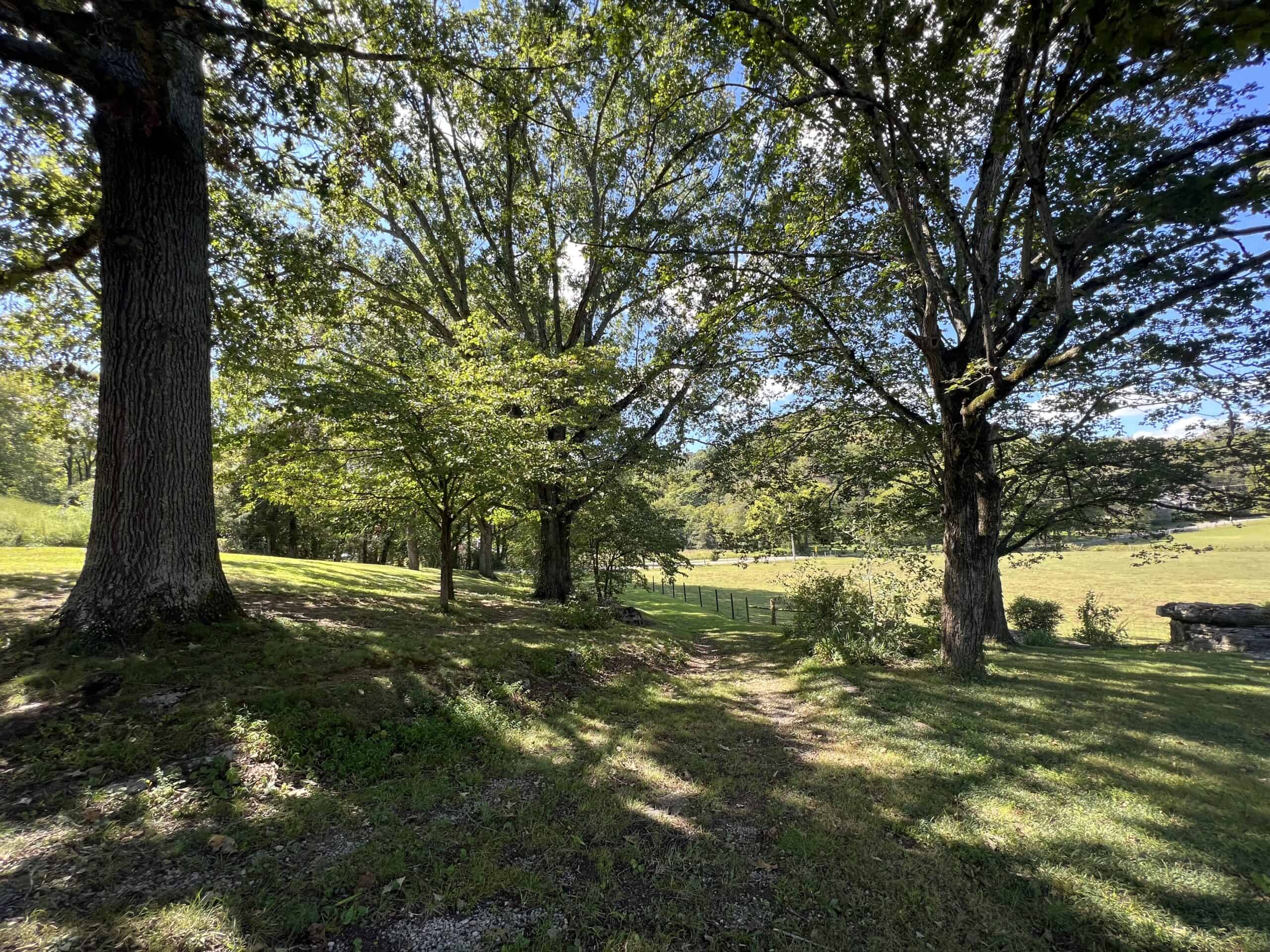 100 +/- ACRE FARM WITH HOUSE, CABIN, SHOP, BARN, POND