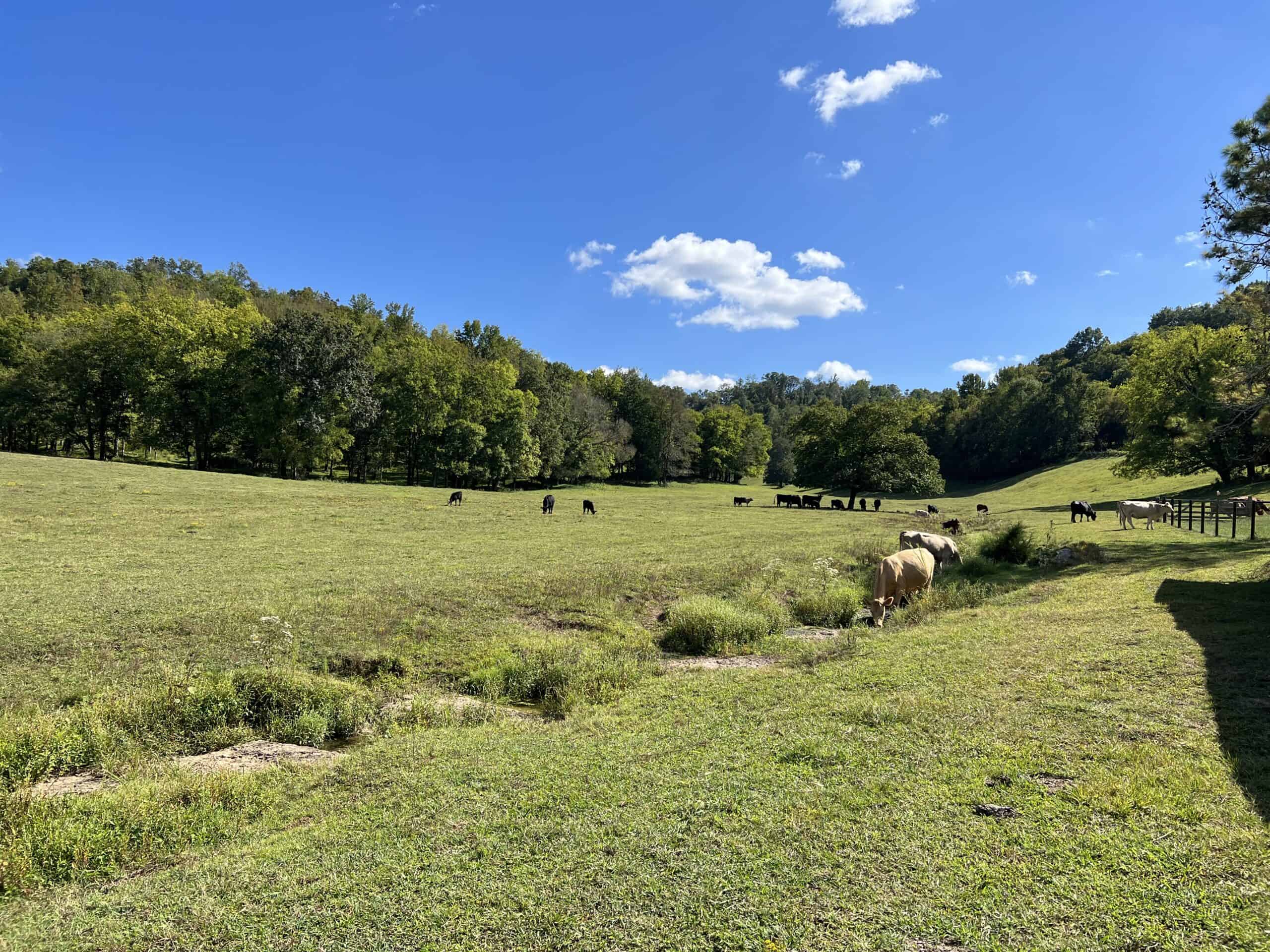 100 +/- ACRE FARM WITH HOUSE, CABIN, SHOP, BARN, POND