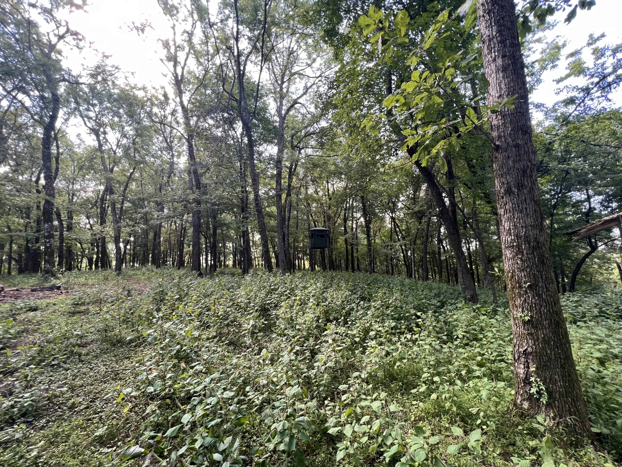 100 +/- ACRE FARM WITH HOUSE, CABIN, SHOP, BARN, POND