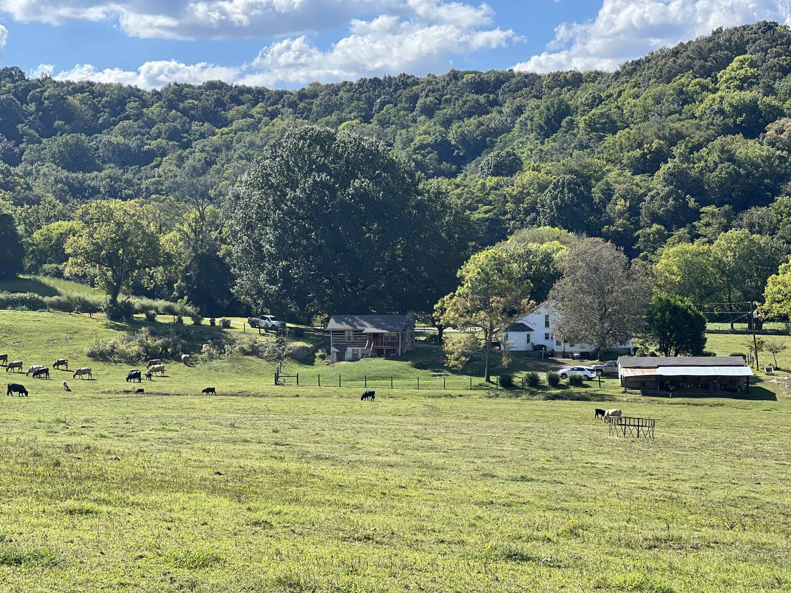 100 +/- ACRE FARM WITH HOUSE, CABIN, SHOP, BARN, POND
