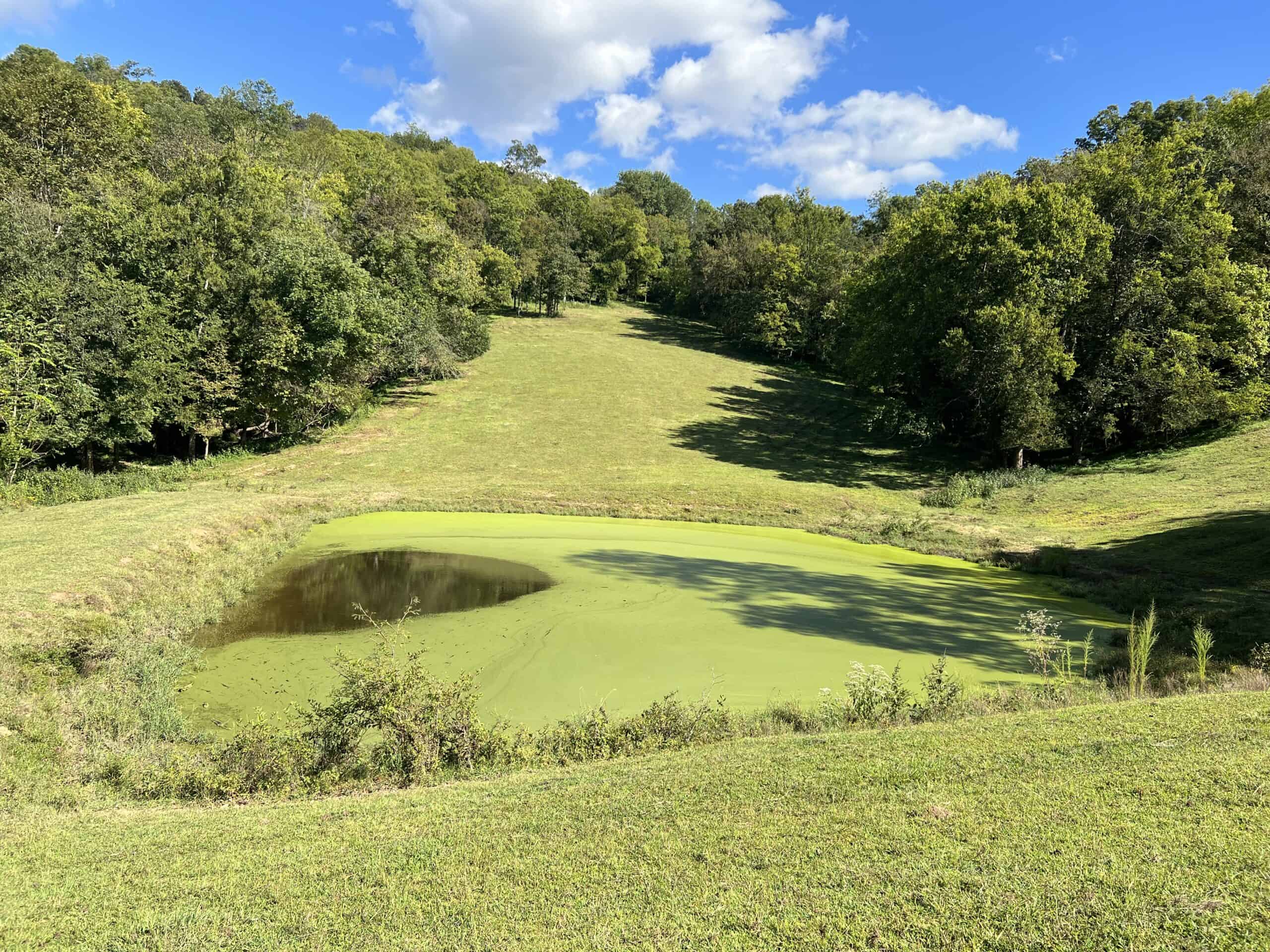 100 +/- ACRE FARM WITH HOUSE, CABIN, SHOP, BARN, POND