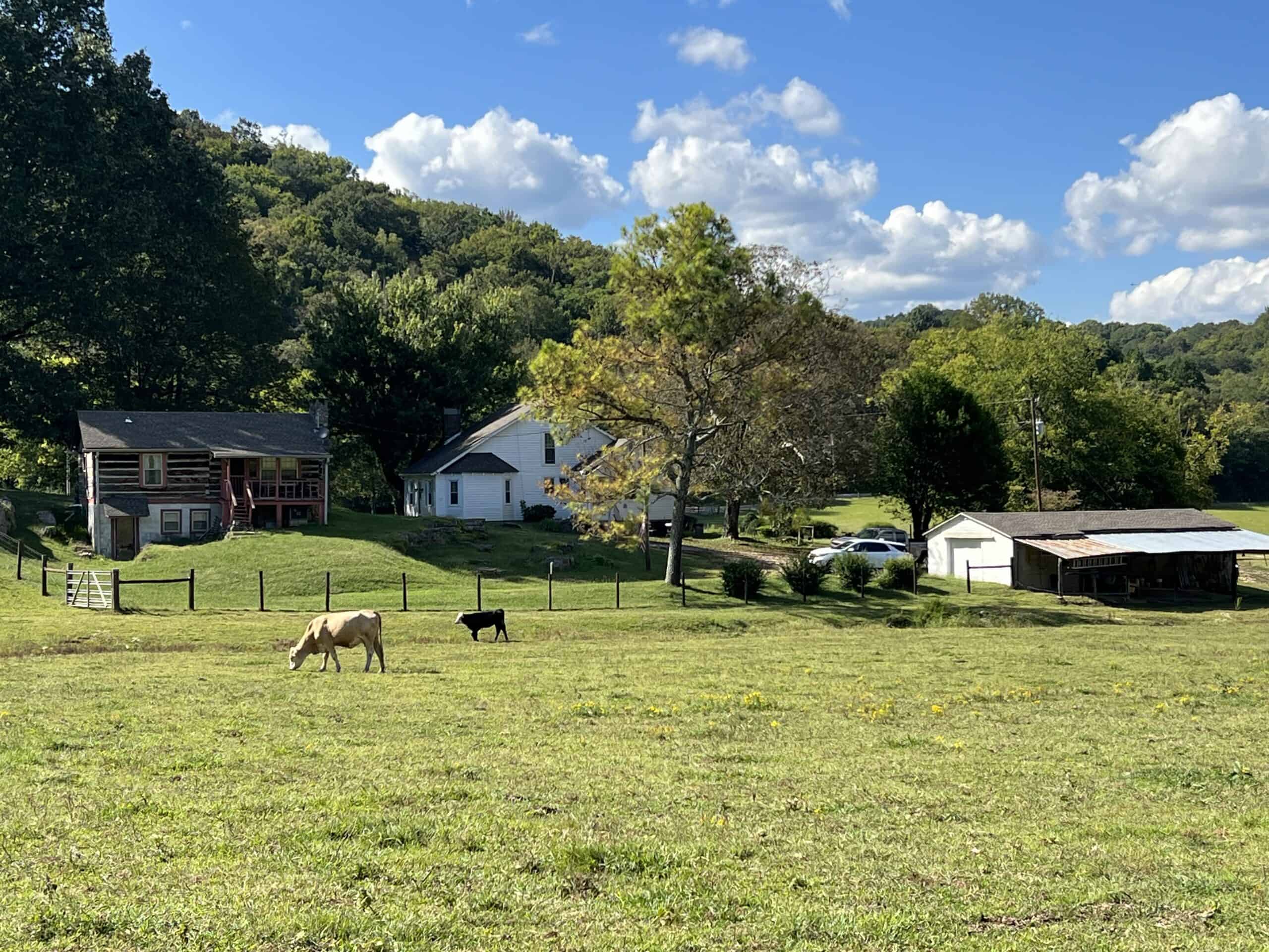 100 +/- ACRE FARM WITH HOUSE, CABIN, SHOP, BARN, POND