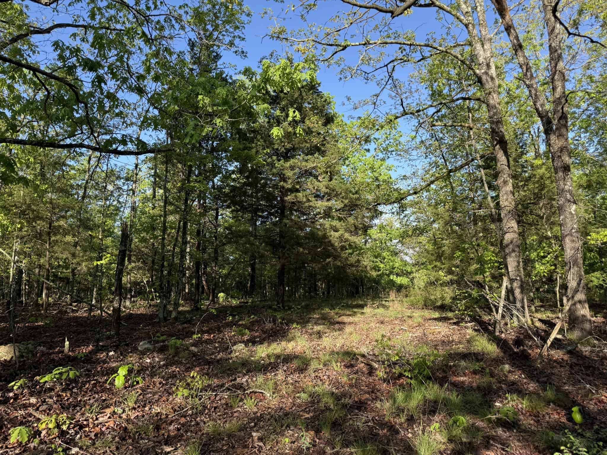 HUNTING LAND FOR SALE IN NORTH CENTRAL ARKANSAS