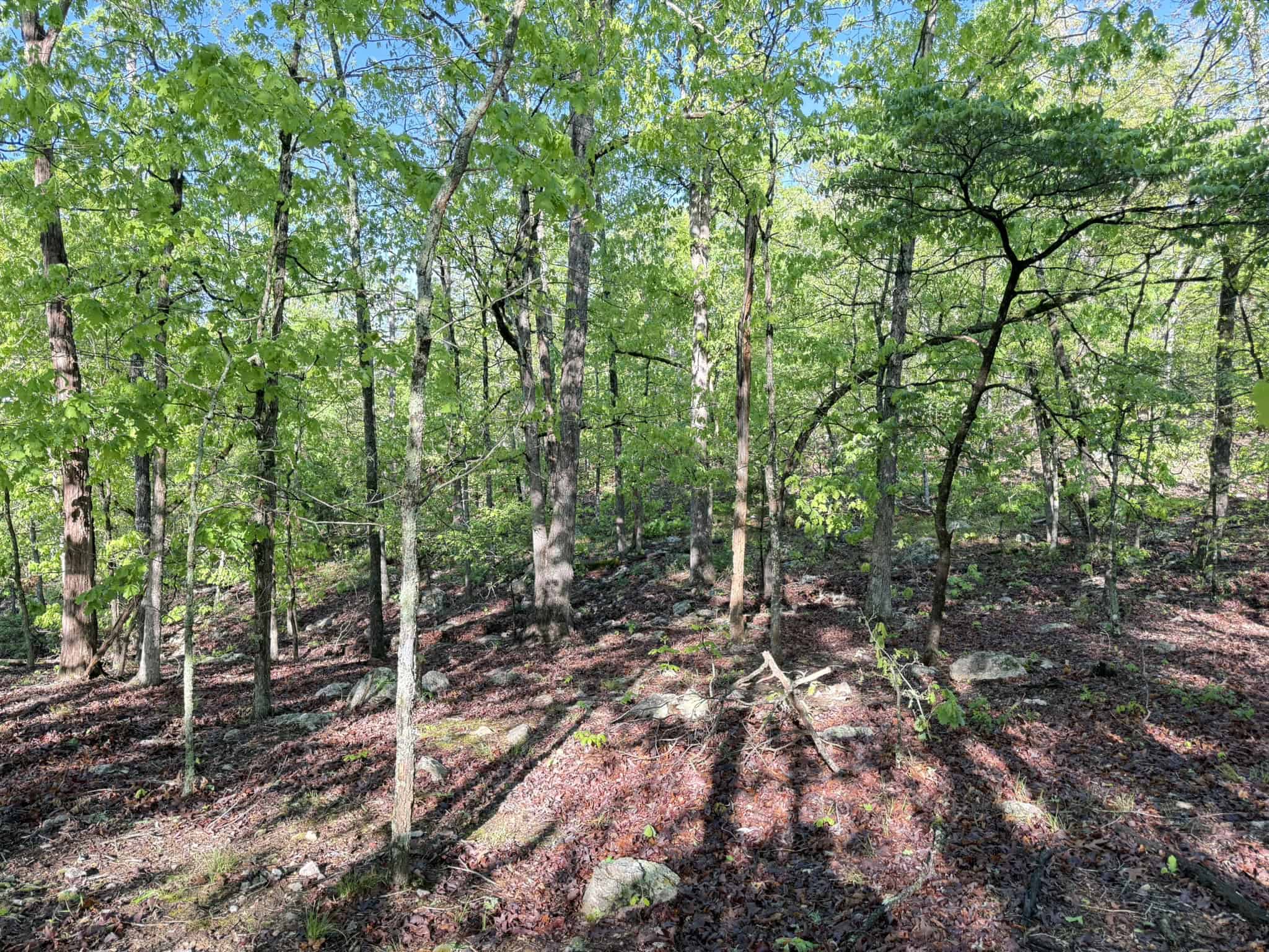 HUNTING LAND FOR SALE IN NORTH CENTRAL ARKANSAS