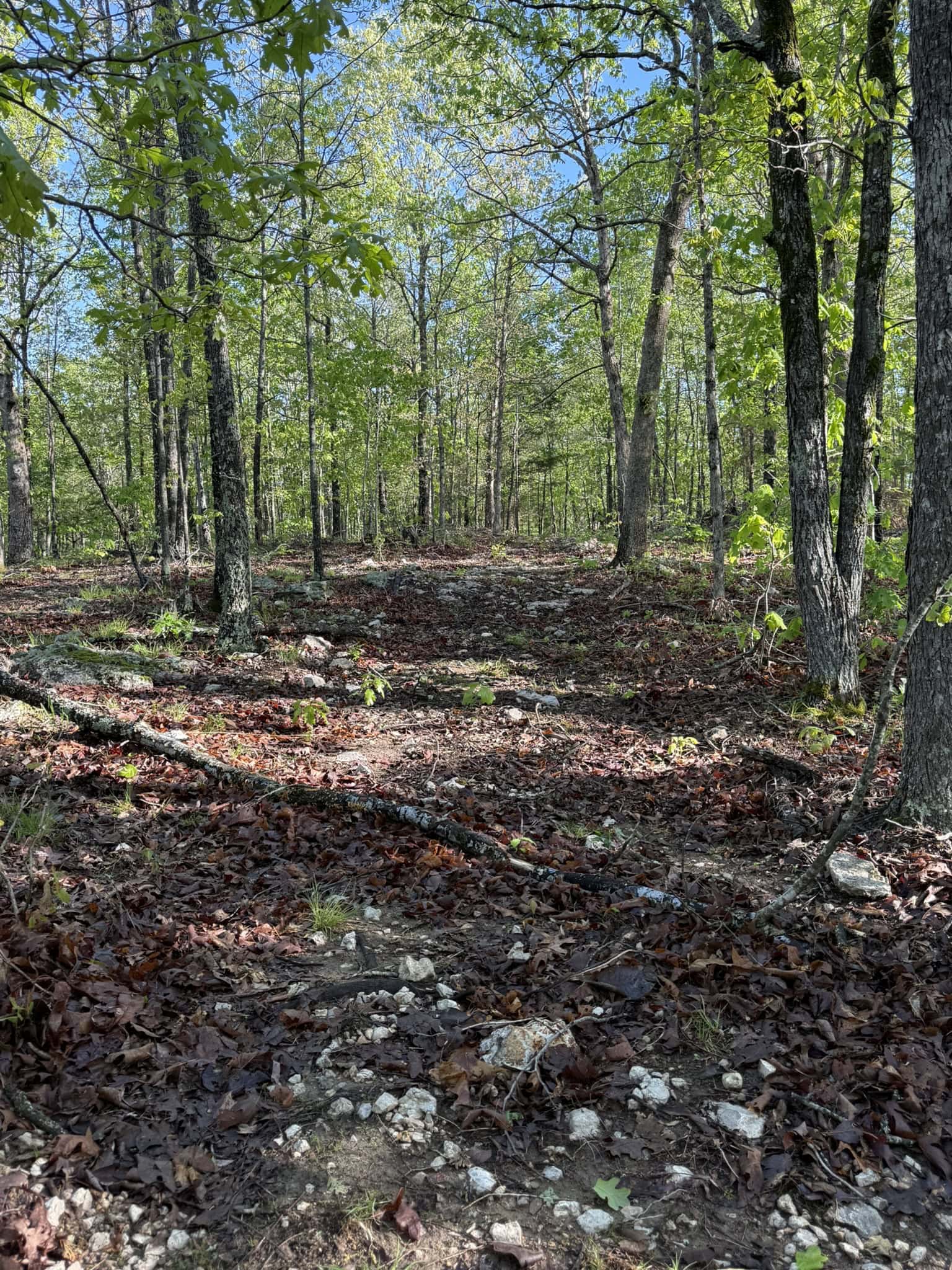 HUNTING LAND FOR SALE IN NORTH CENTRAL ARKANSAS