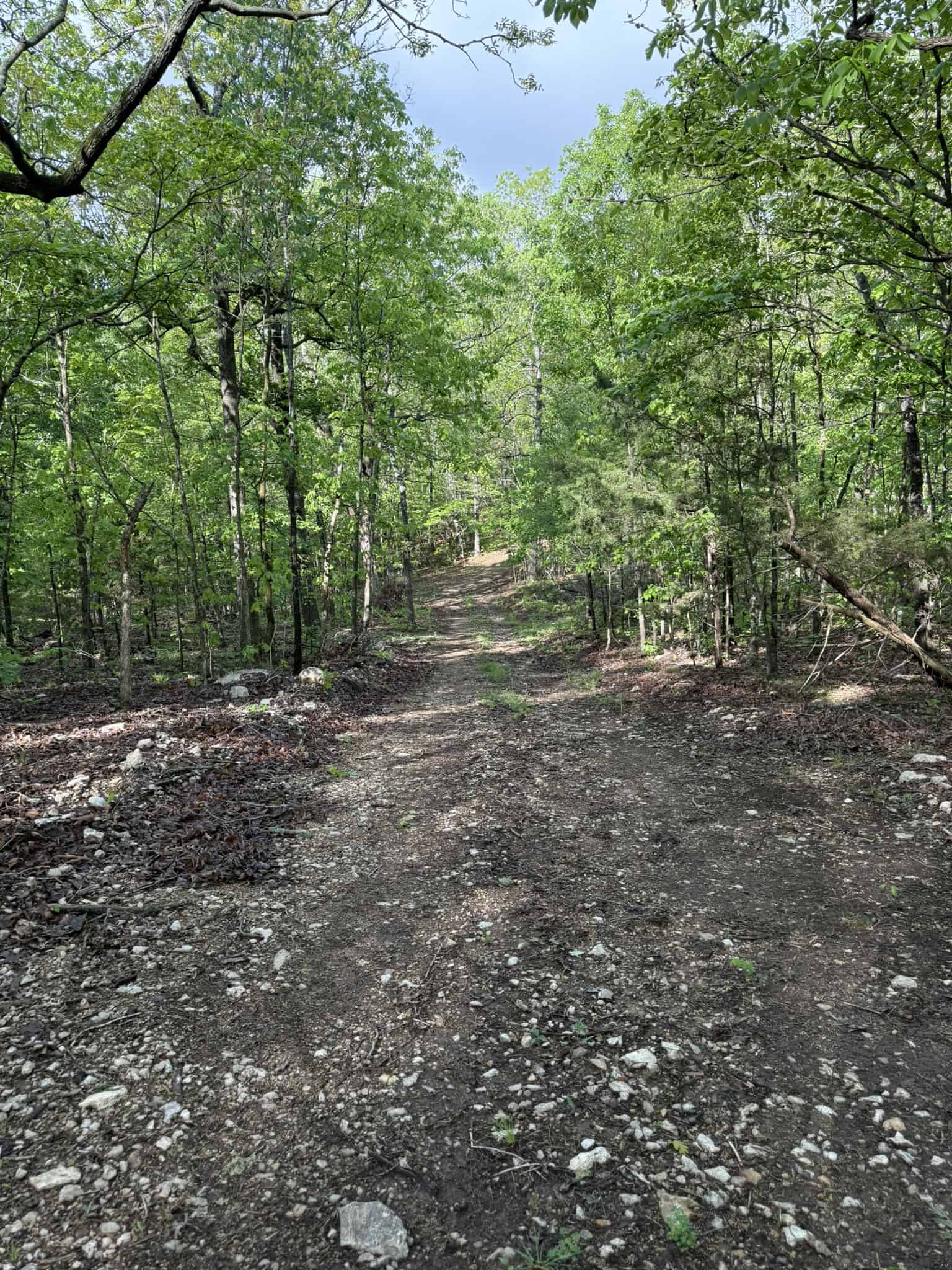 HUNTING LAND FOR SALE IN NORTH CENTRAL ARKANSAS