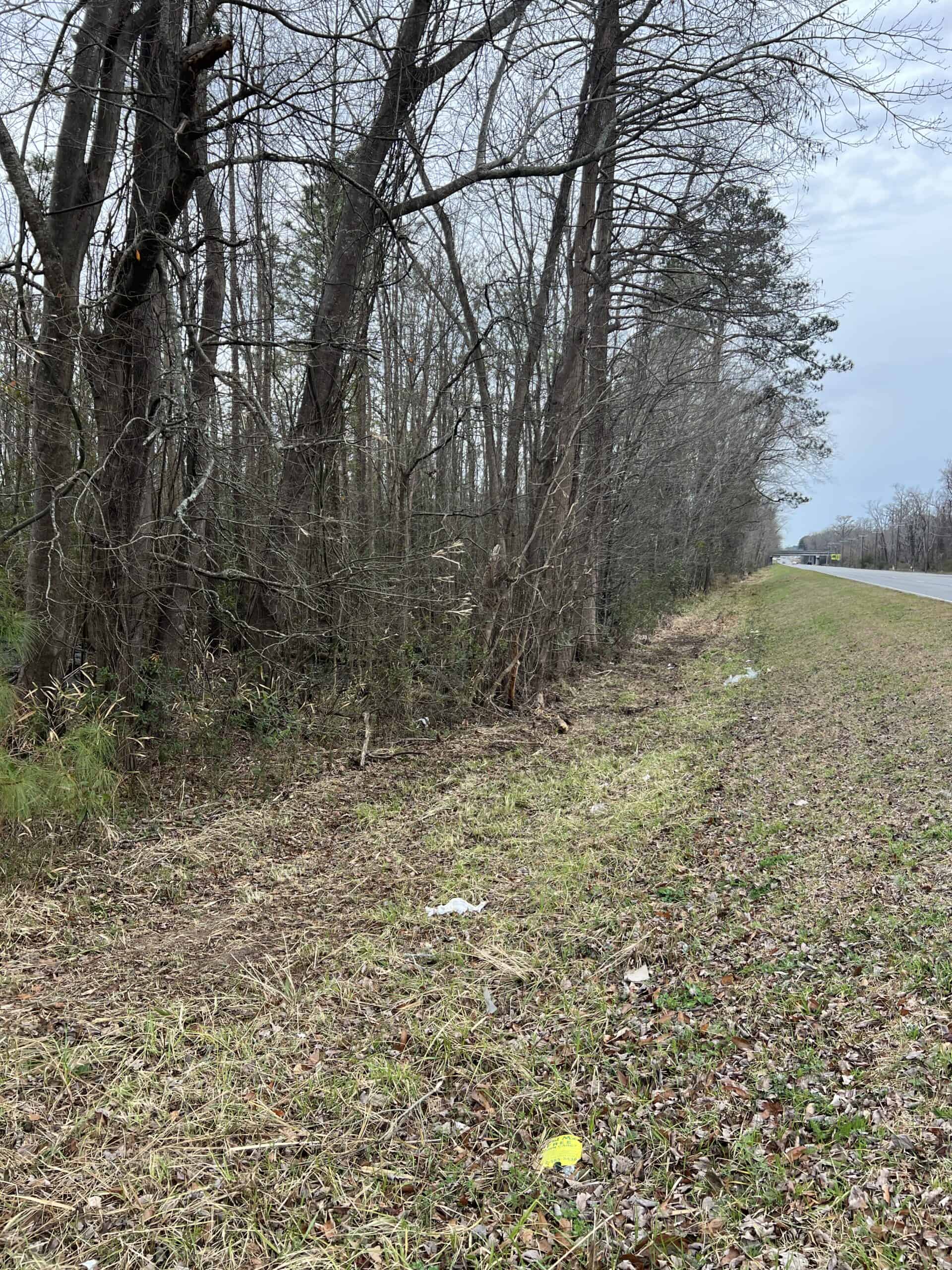 Affordable Hunting Tract in Chocowinity, NC – 119 AC