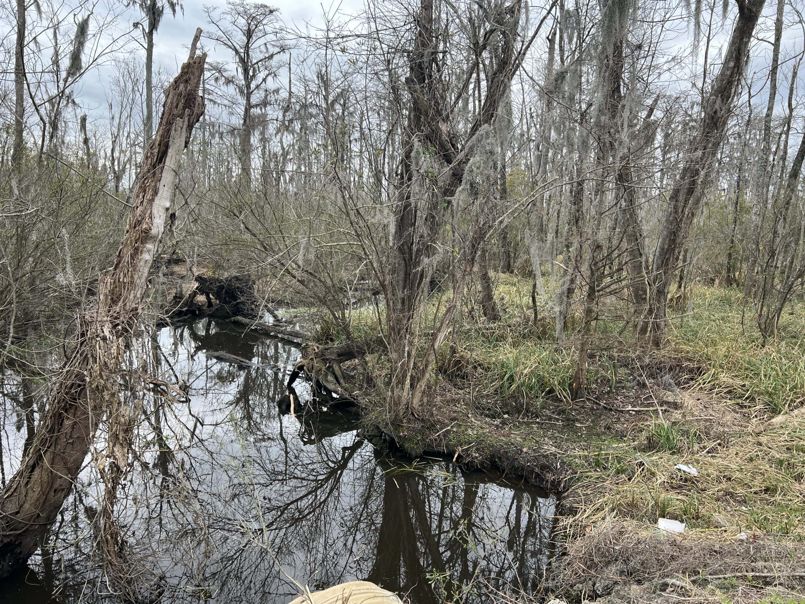 Affordable Hunting Tract in Chocowinity, NC – 119 AC