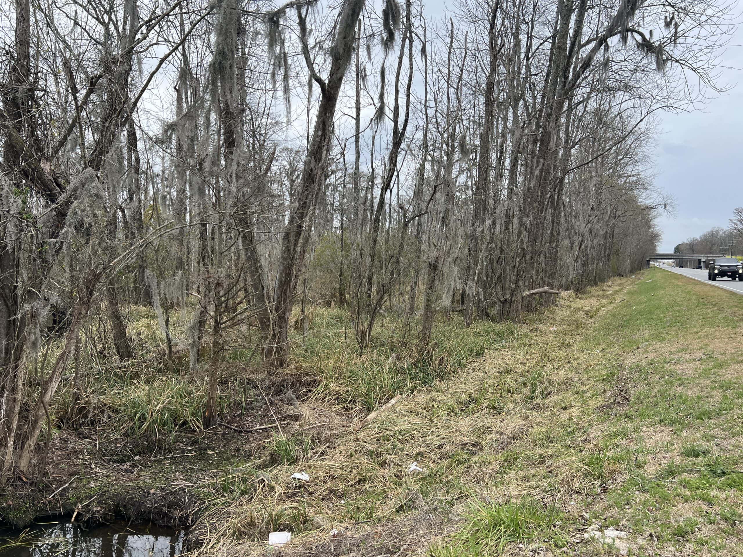 Affordable Hunting Tract in Chocowinity, NC – 119 AC