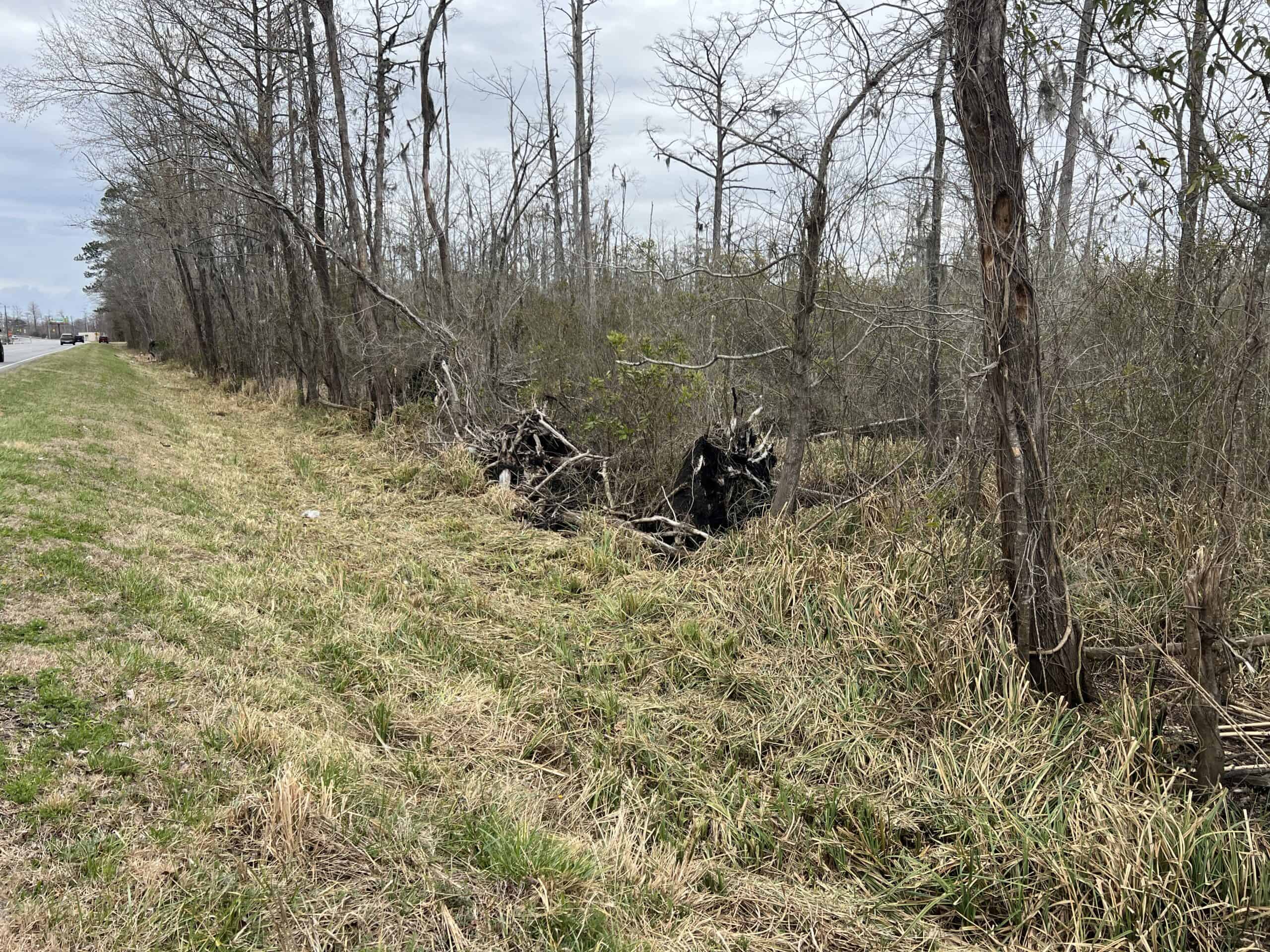 Affordable Hunting Tract in Chocowinity, NC – 119 AC