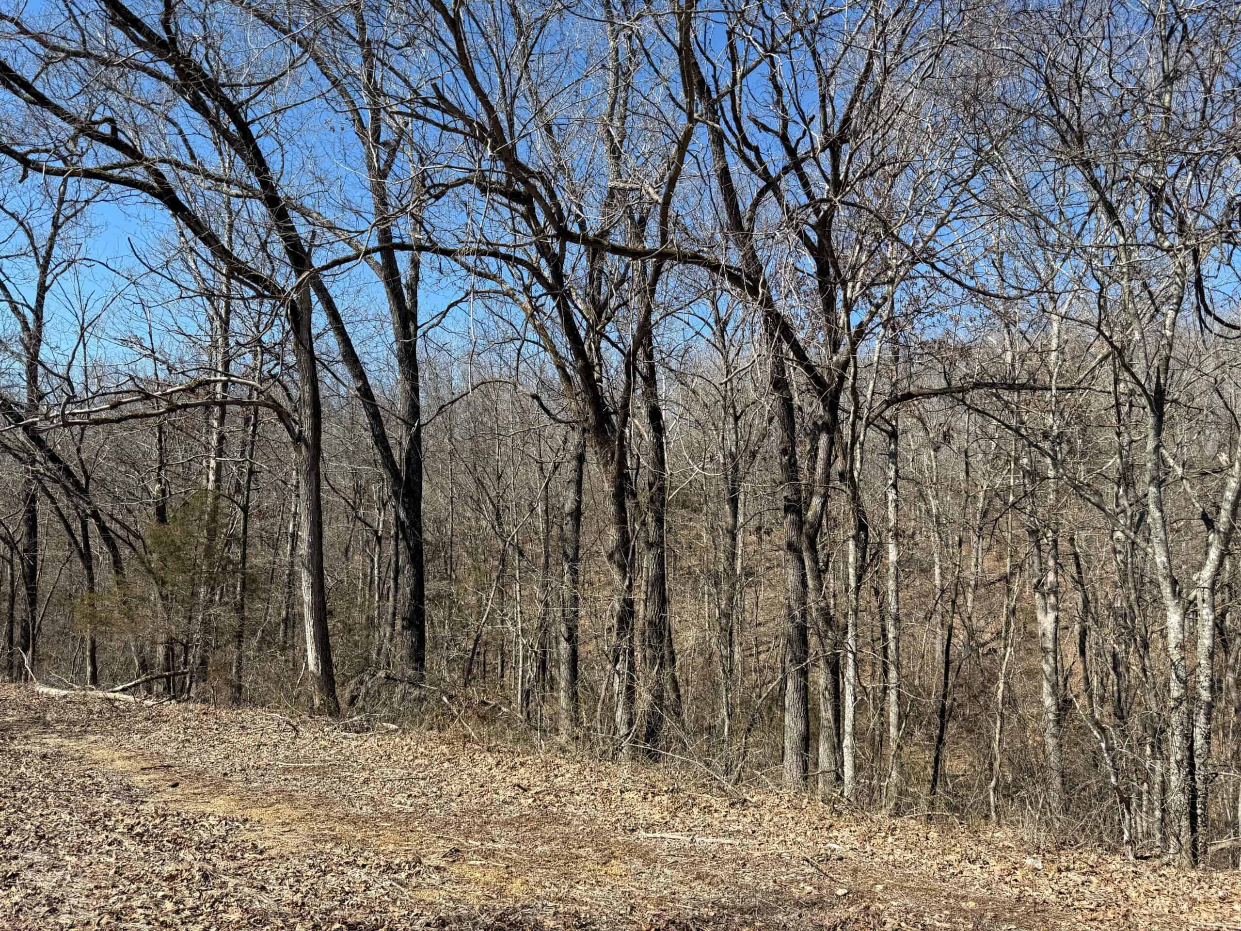 36 ACRES FOR SALE IN NORTH CENTRAL ARKANSAS