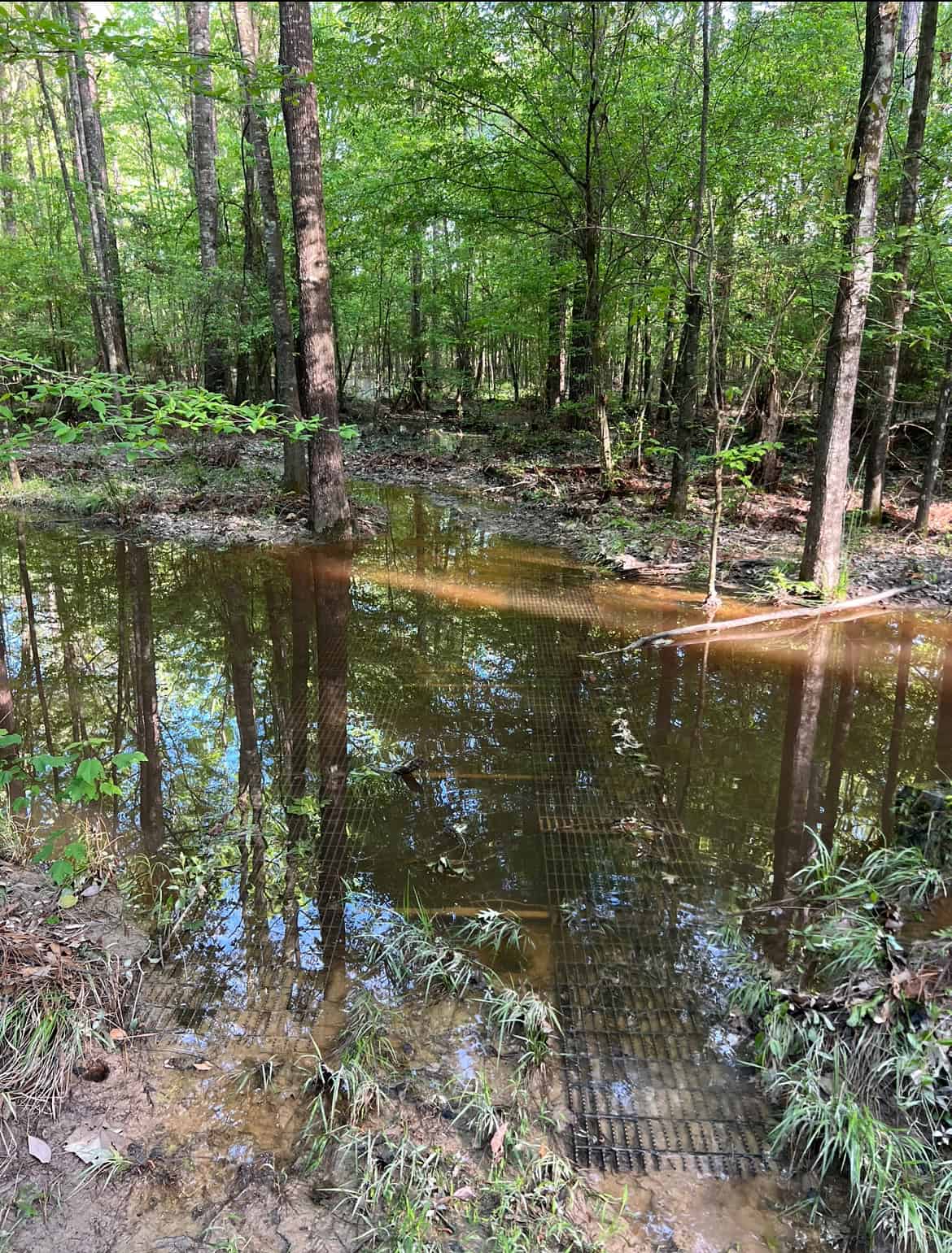 Jackson Parish Timber Tract 3
