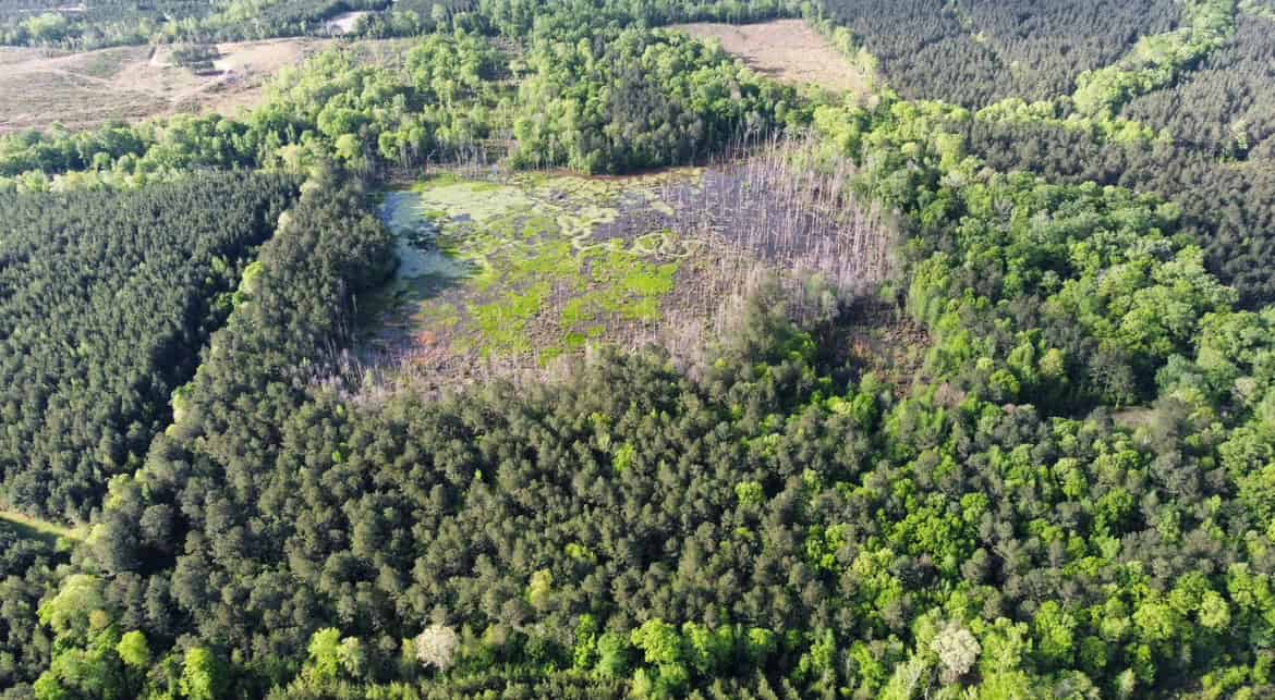 Jackson Parish Timber Tract 3