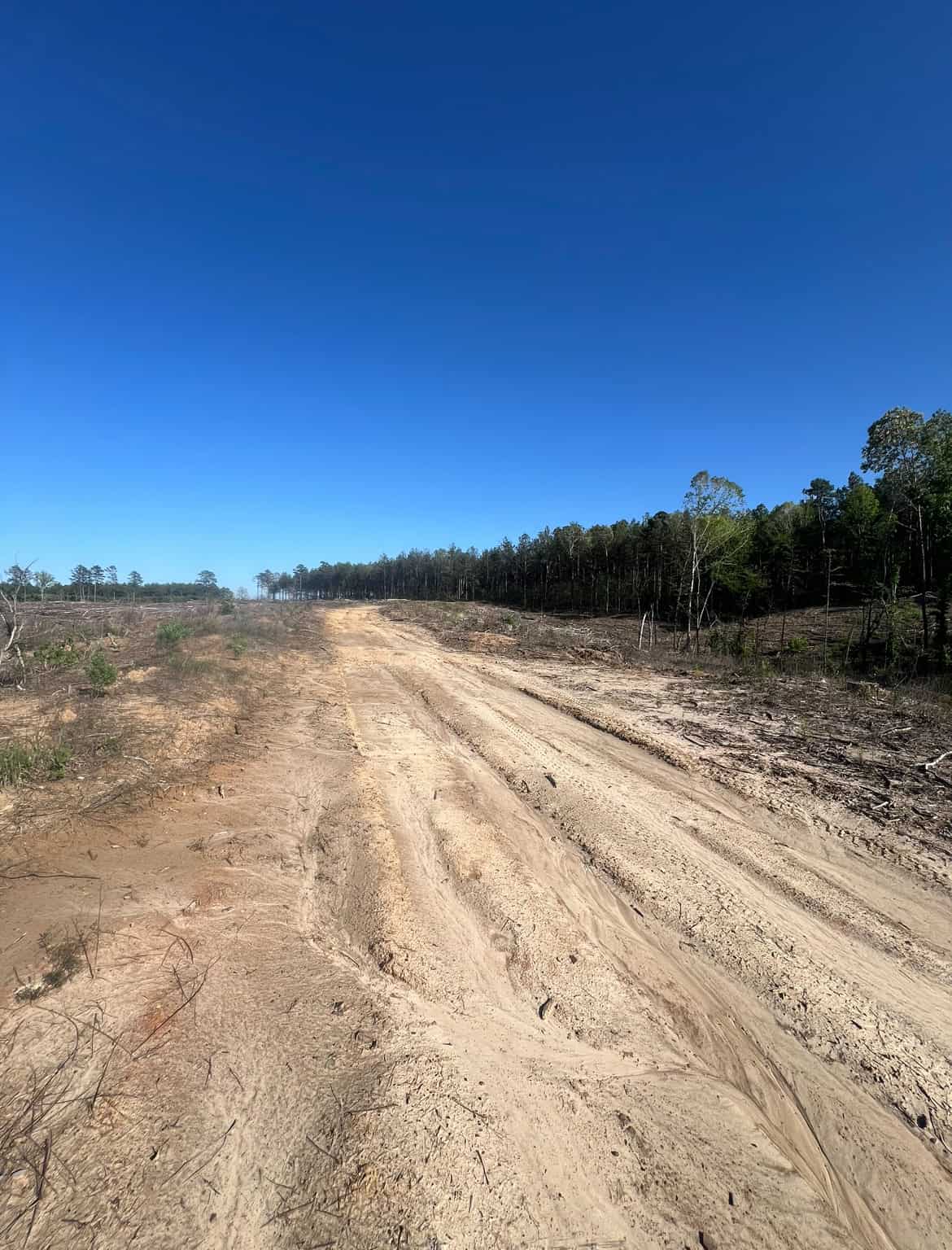 Jackson Parish Timber Tract 4