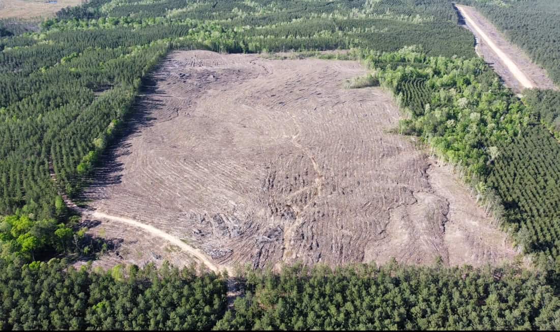 Jackson Parish Timber Tract 4