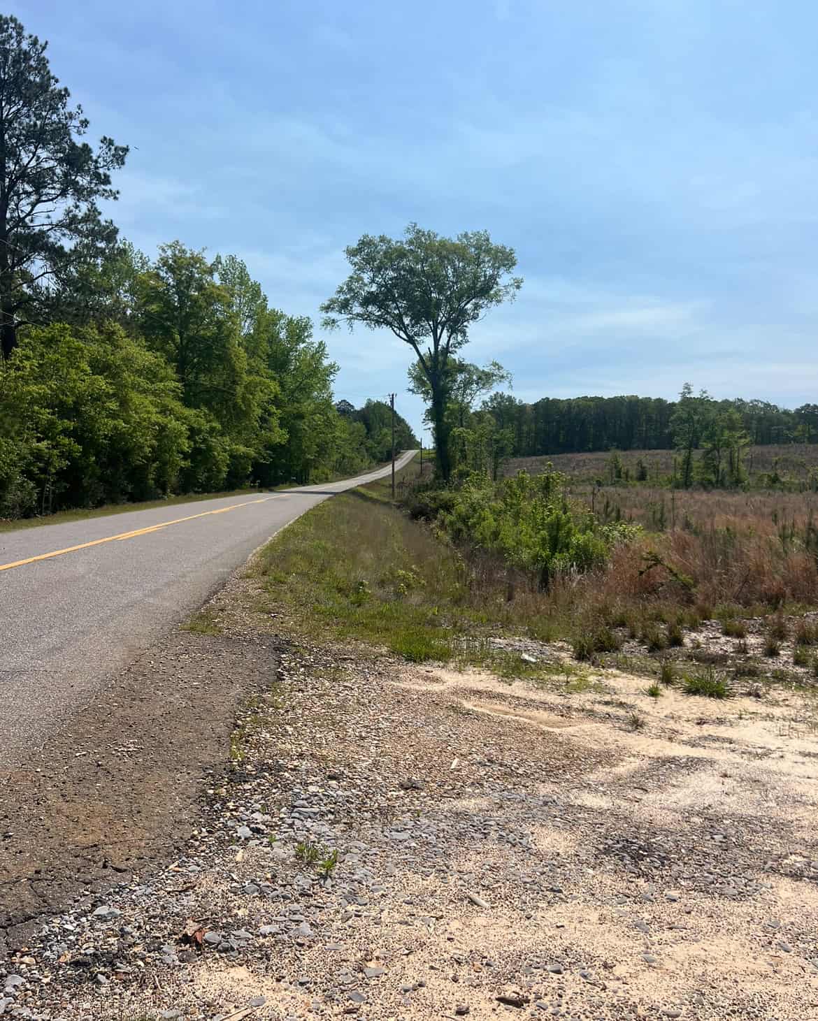 64 Acre Timberland Hunting Property Jackson Parish North LA