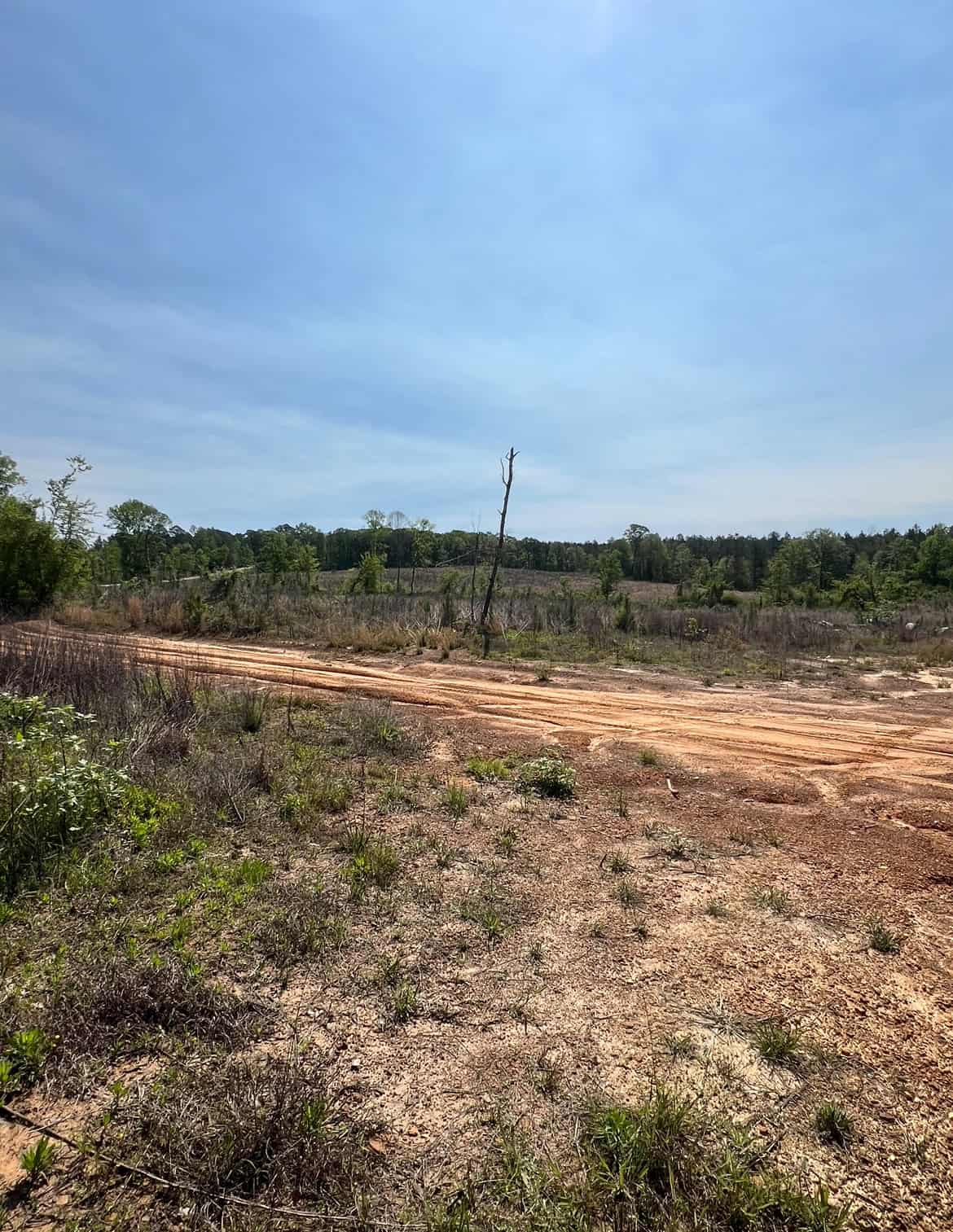 64 Acre Timberland Hunting Property Jackson Parish North LA