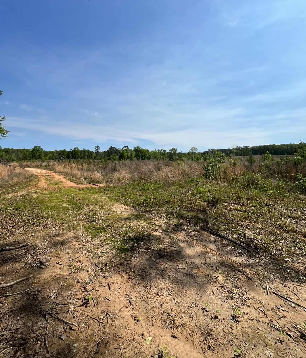 64 Acre Timberland Hunting Property Jackson Parish North LA