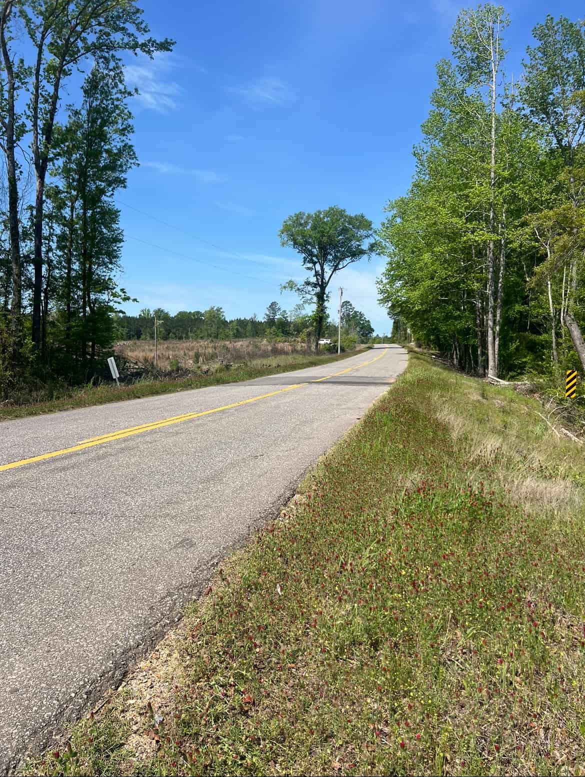 14 Acre Timber Tract with Road Frontage