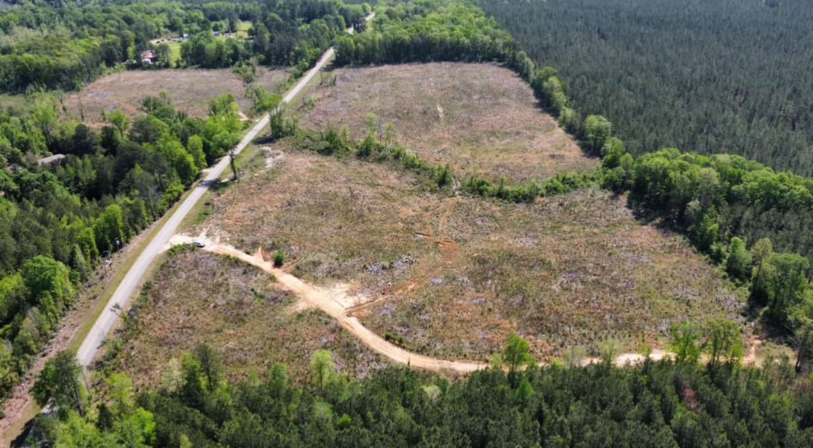 14 Acre Timber Tract with Road Frontage