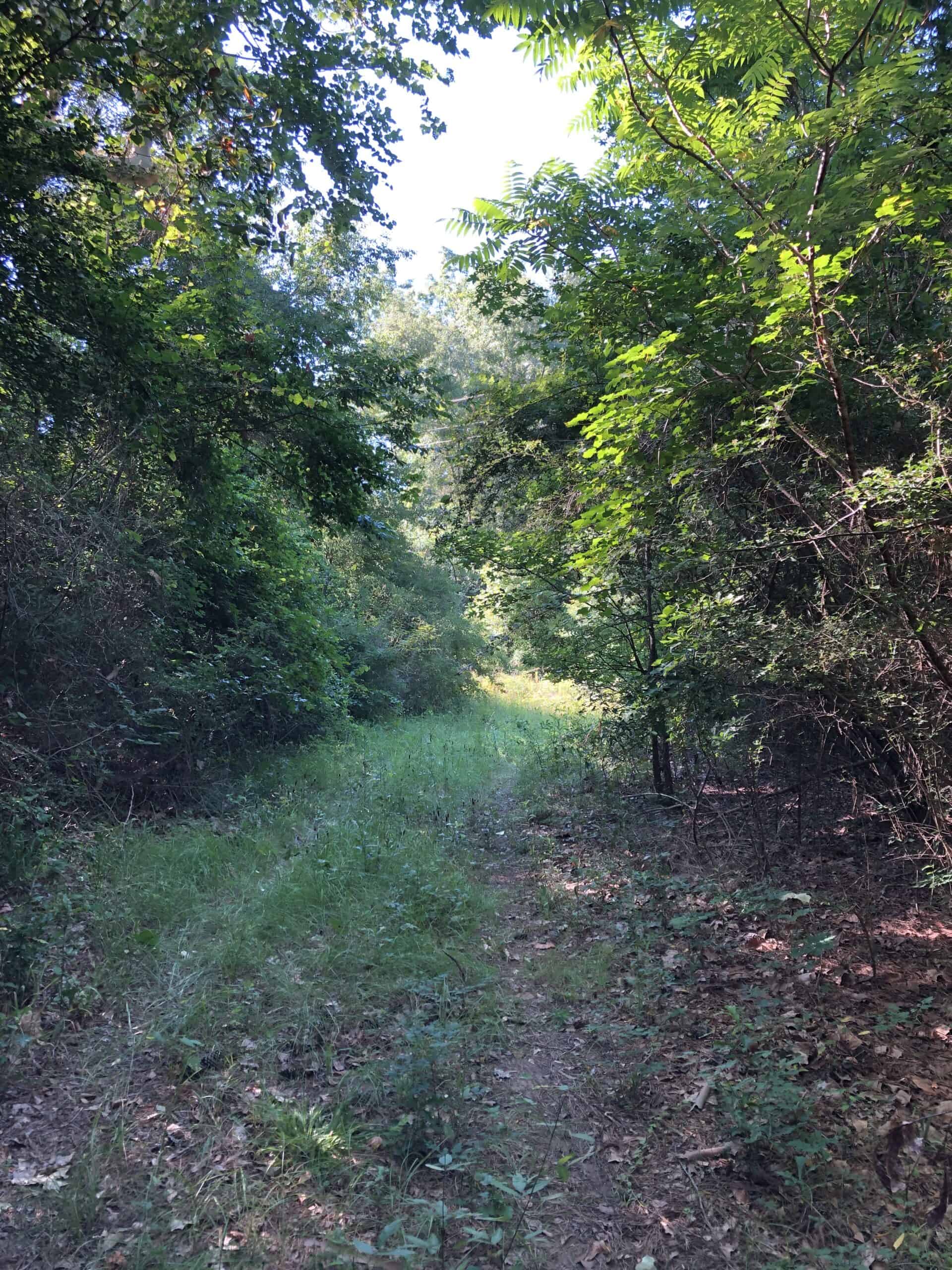 Rusk Texas Hunting/Recreational Land For Sale