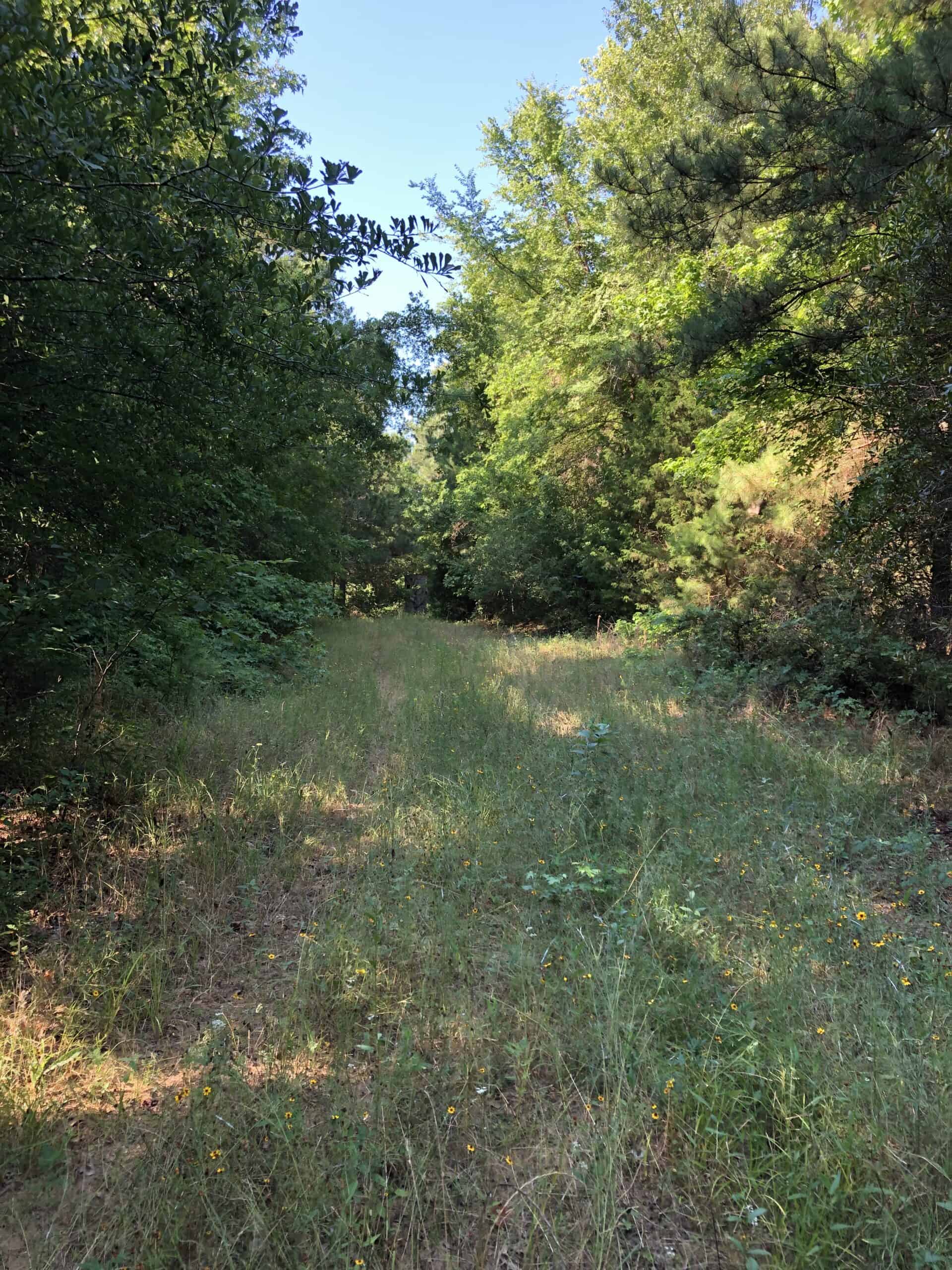 Rusk Texas Hunting/Recreational Land For Sale