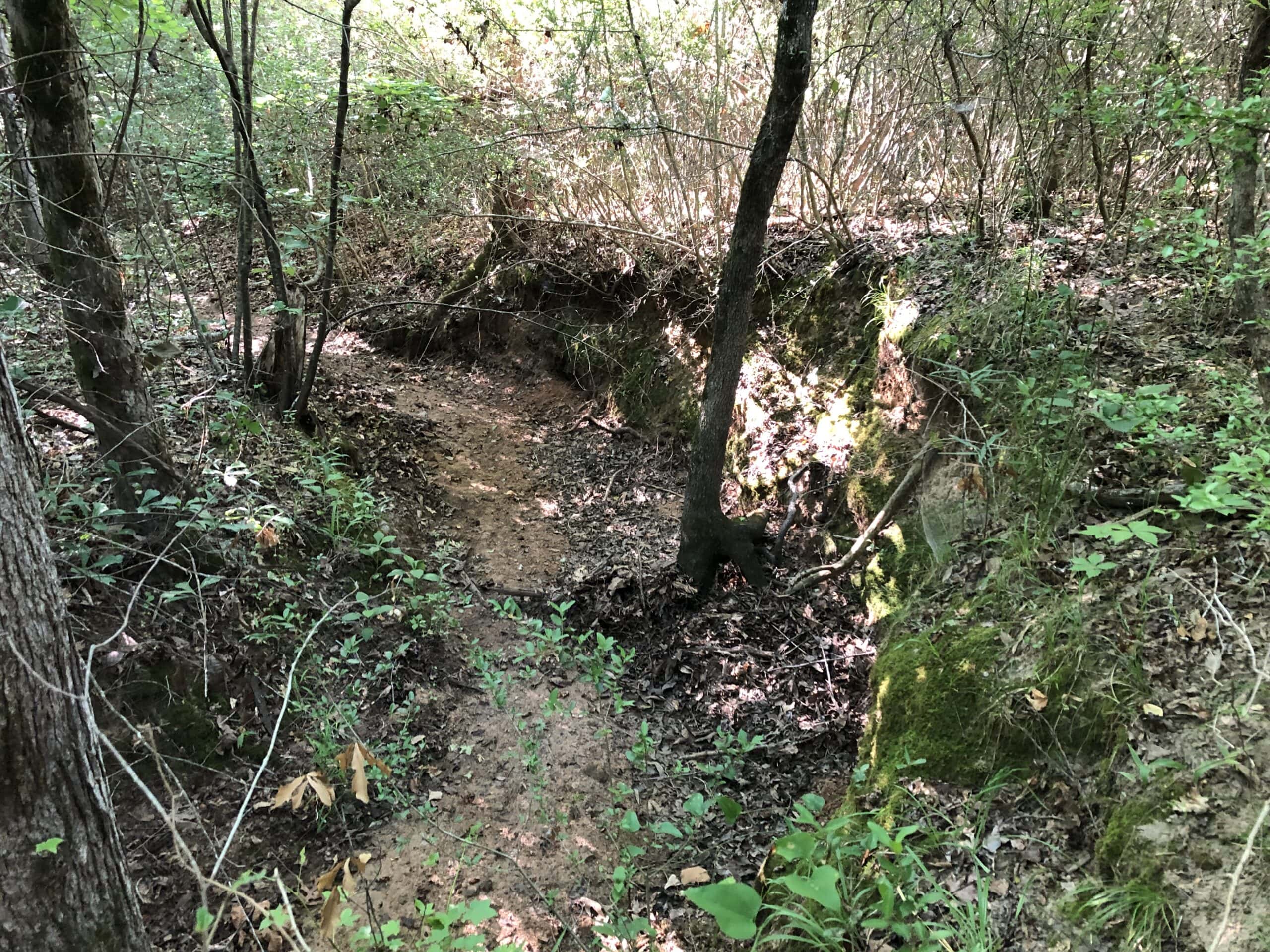 Rusk Texas Hunting/Recreational Land For Sale