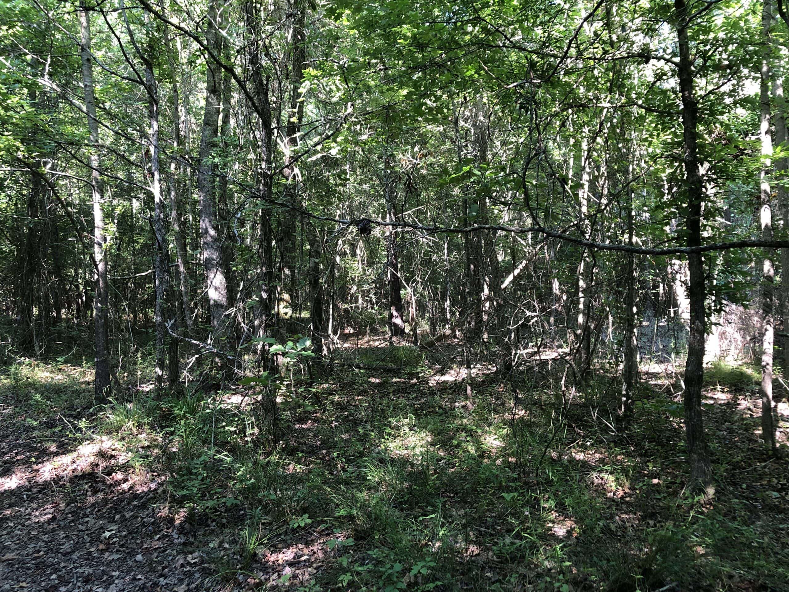 Rusk Texas Hunting/Recreational Land For Sale