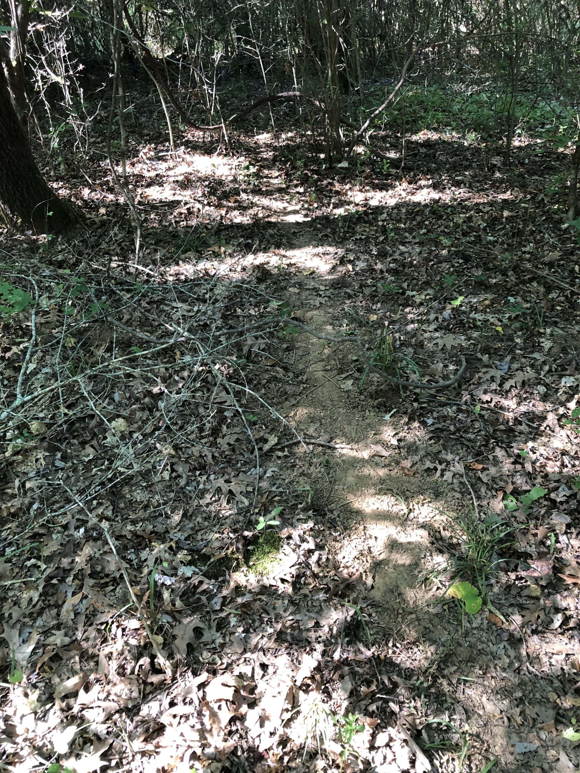 Rusk Texas Hunting/Recreational Land For Sale