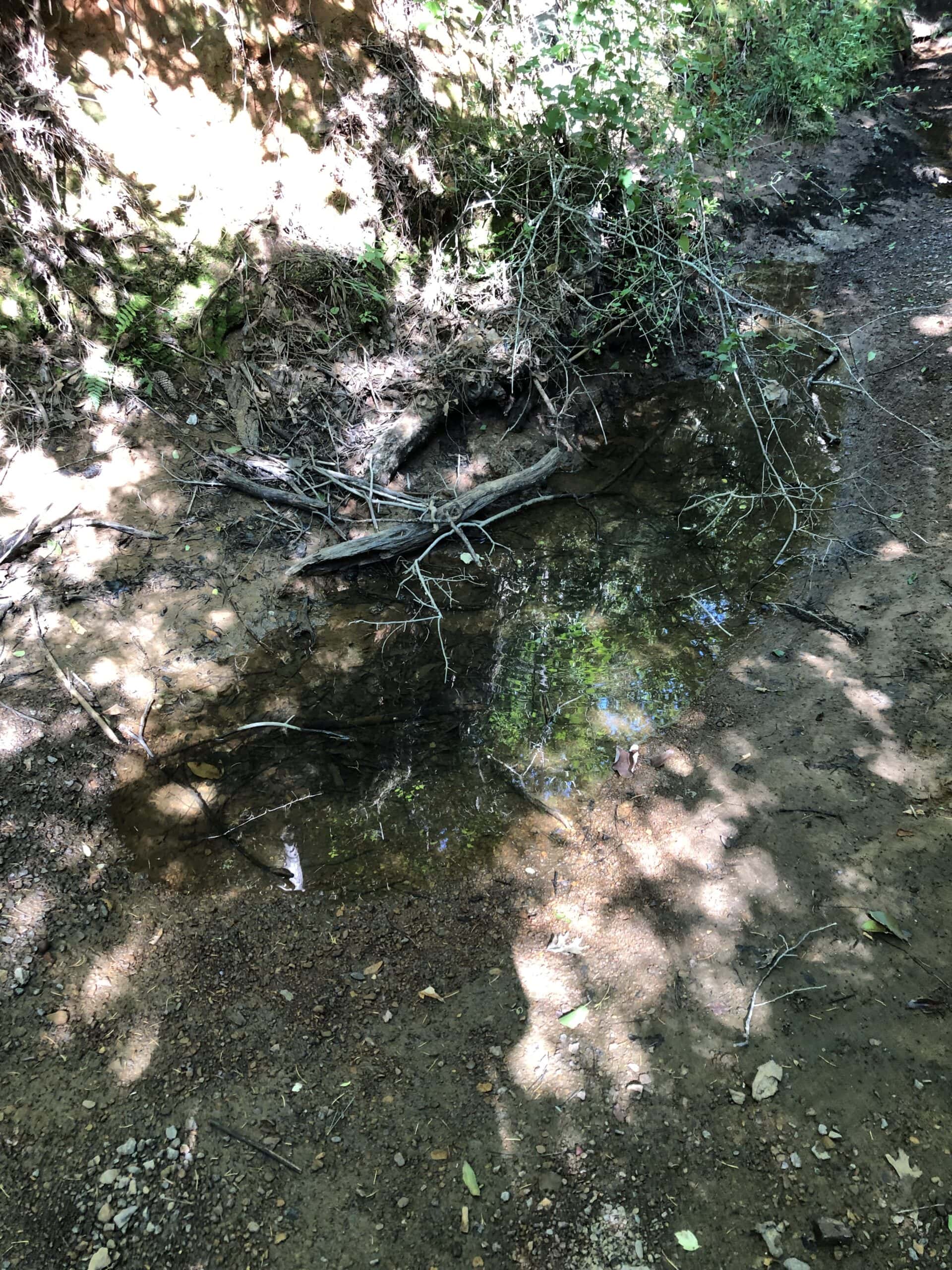 Rusk Texas Hunting/Recreational Land For Sale
