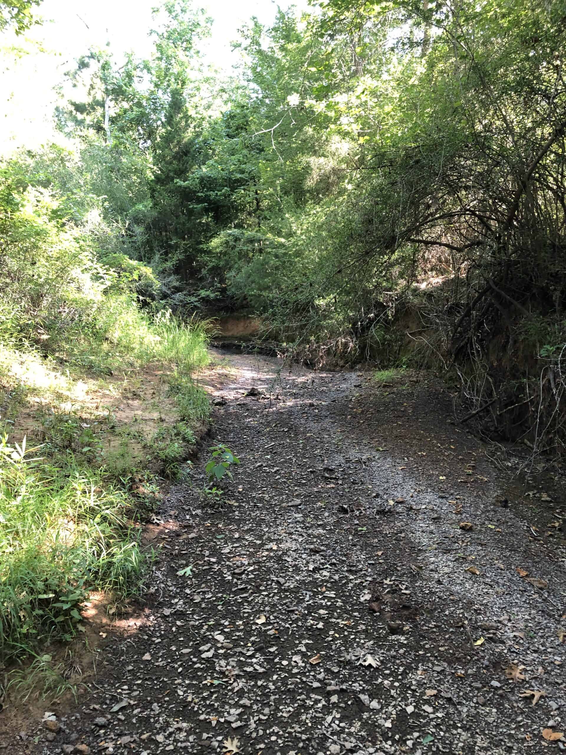 Rusk Texas Hunting/Recreational Land For Sale