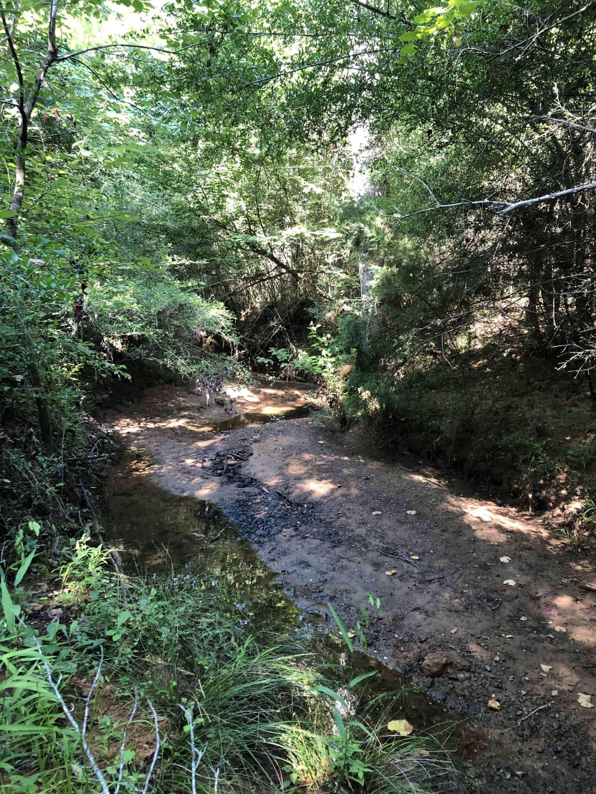 Rusk Texas Hunting/Recreational Land For Sale