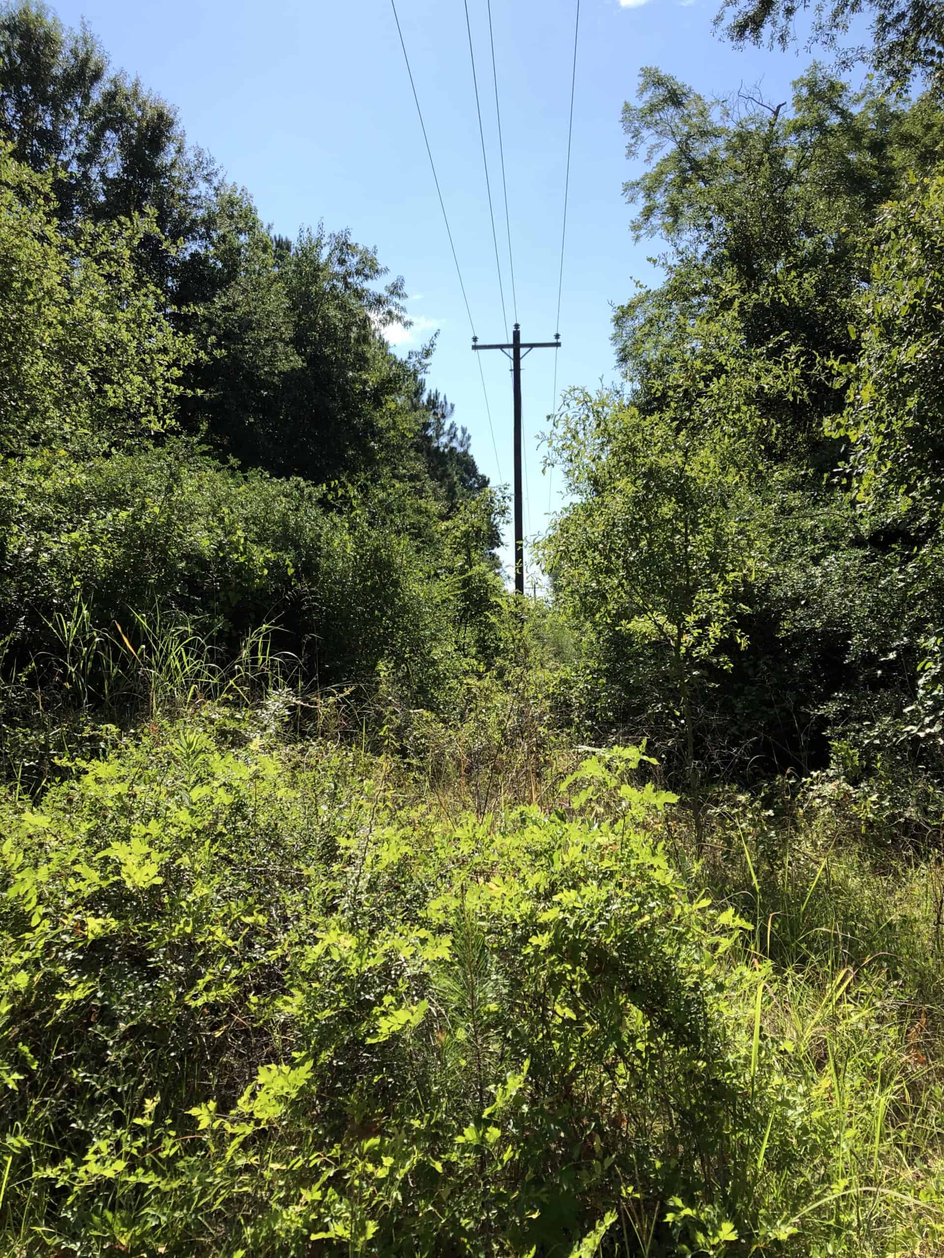 Rusk Texas Hunting/Recreational Land For Sale