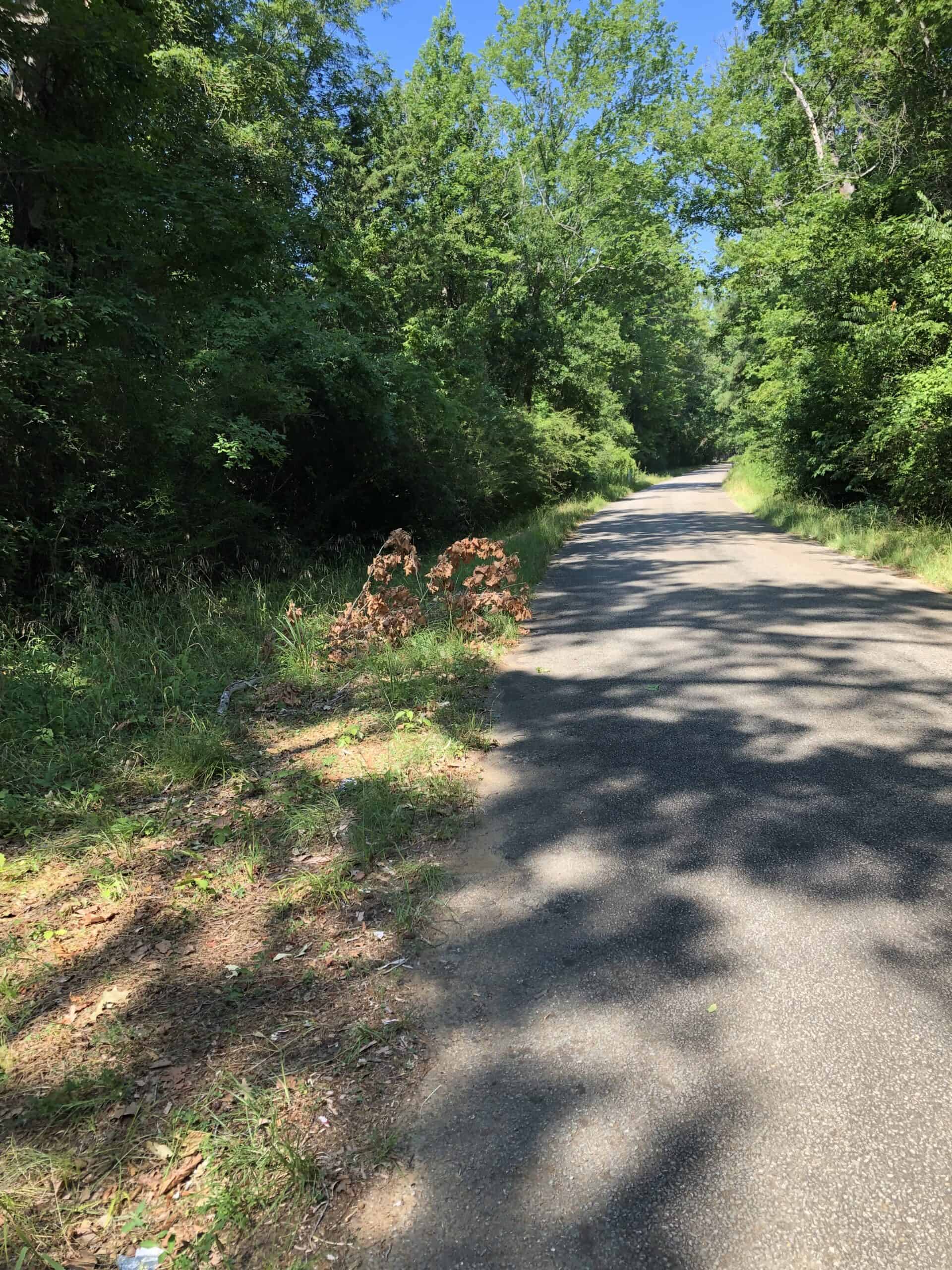 Rusk Texas Hunting/Recreational Land For Sale