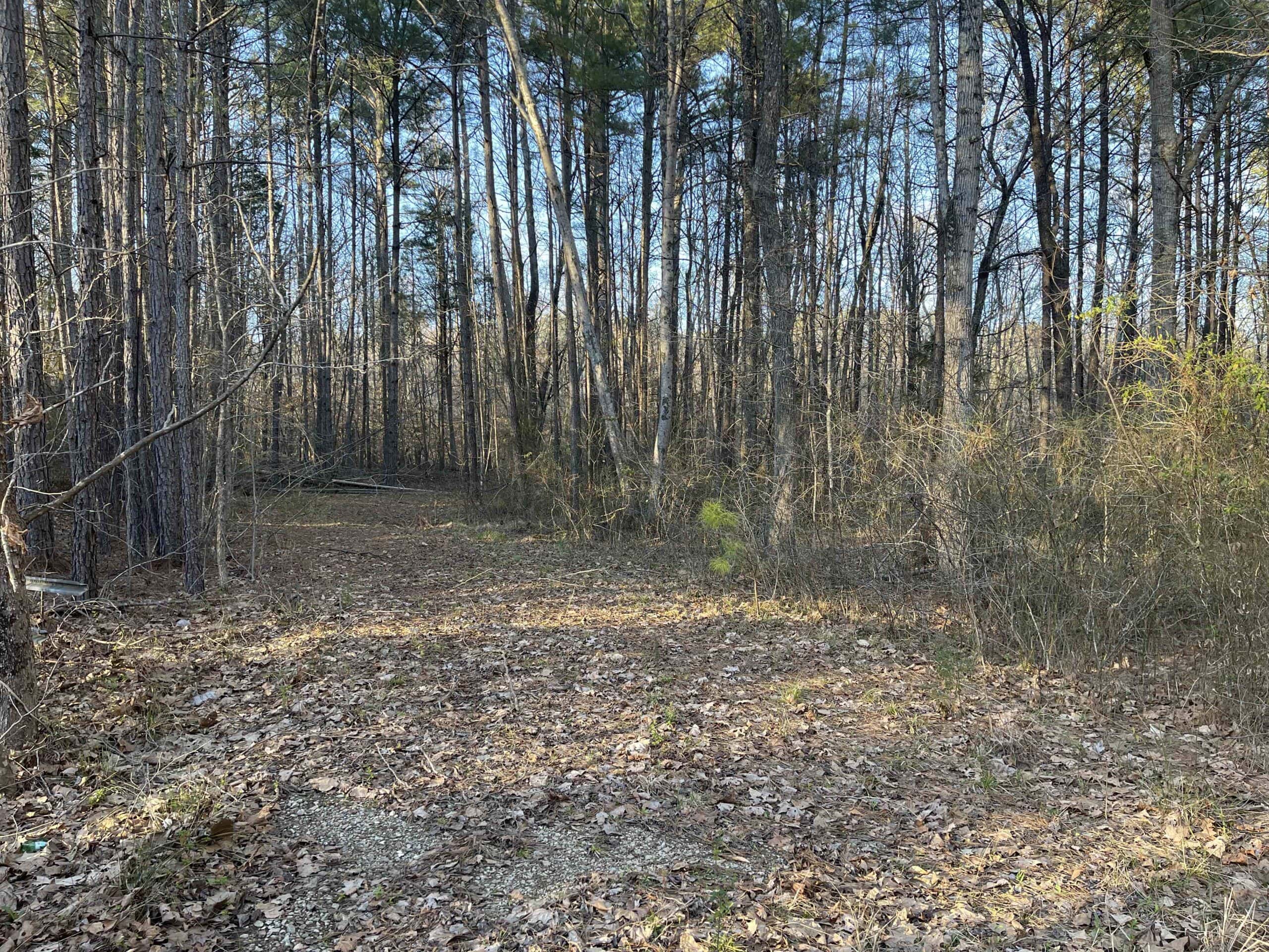 HUNTING LAND FOR SALE NEAR TN RIVER WITH CREEK 154.16Acres