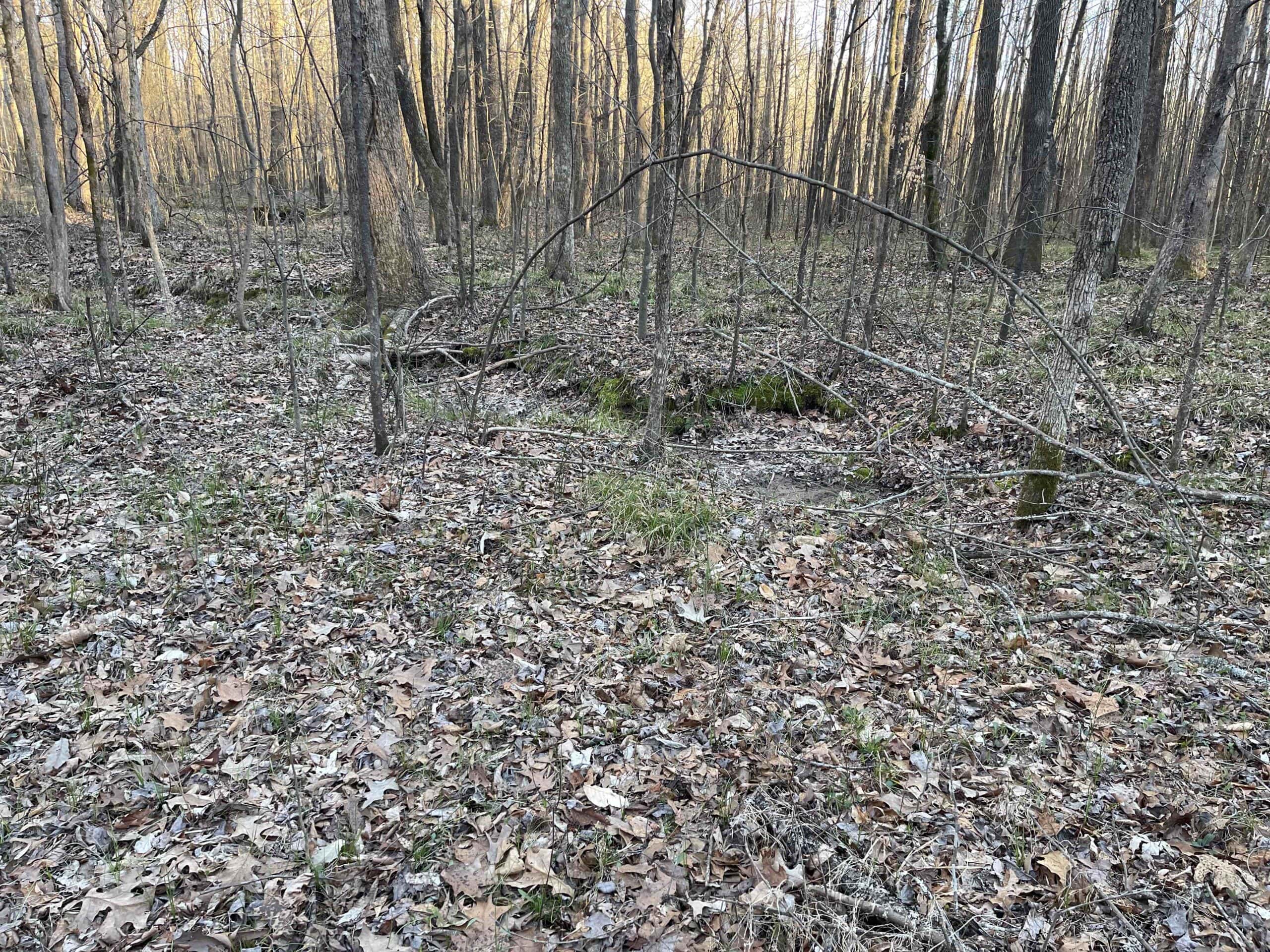 HUNTING LAND FOR SALE NEAR TN RIVER WITH CREEK 154.16Acres