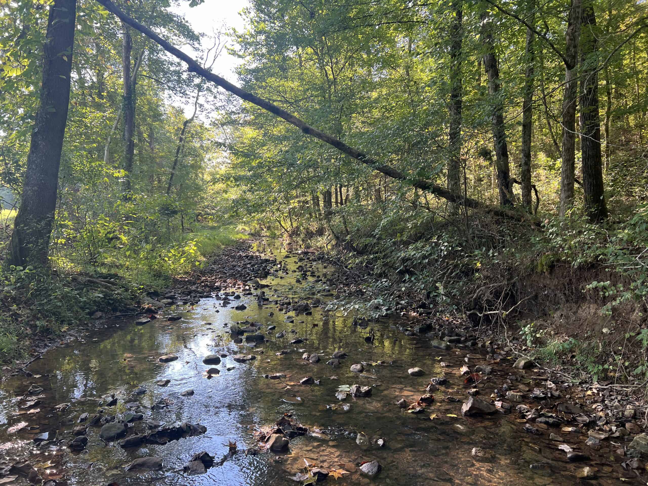 Tennessee Farm for Sale with Barn, Shop, Fencing, Septic, Creek, and Hunting