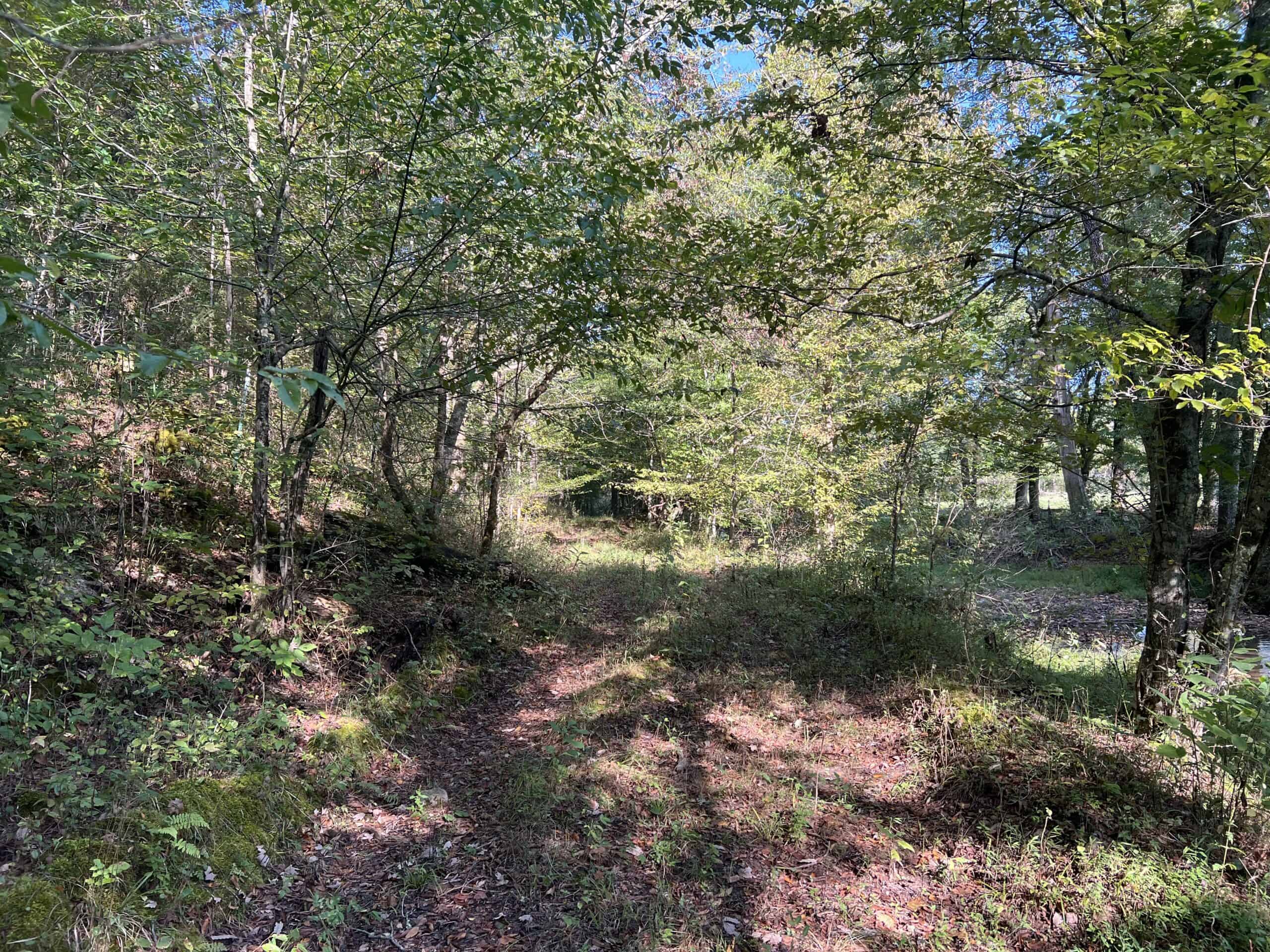 Tennessee Farm for Sale with Barn, Shop, Fencing, Septic, Creek, and Hunting