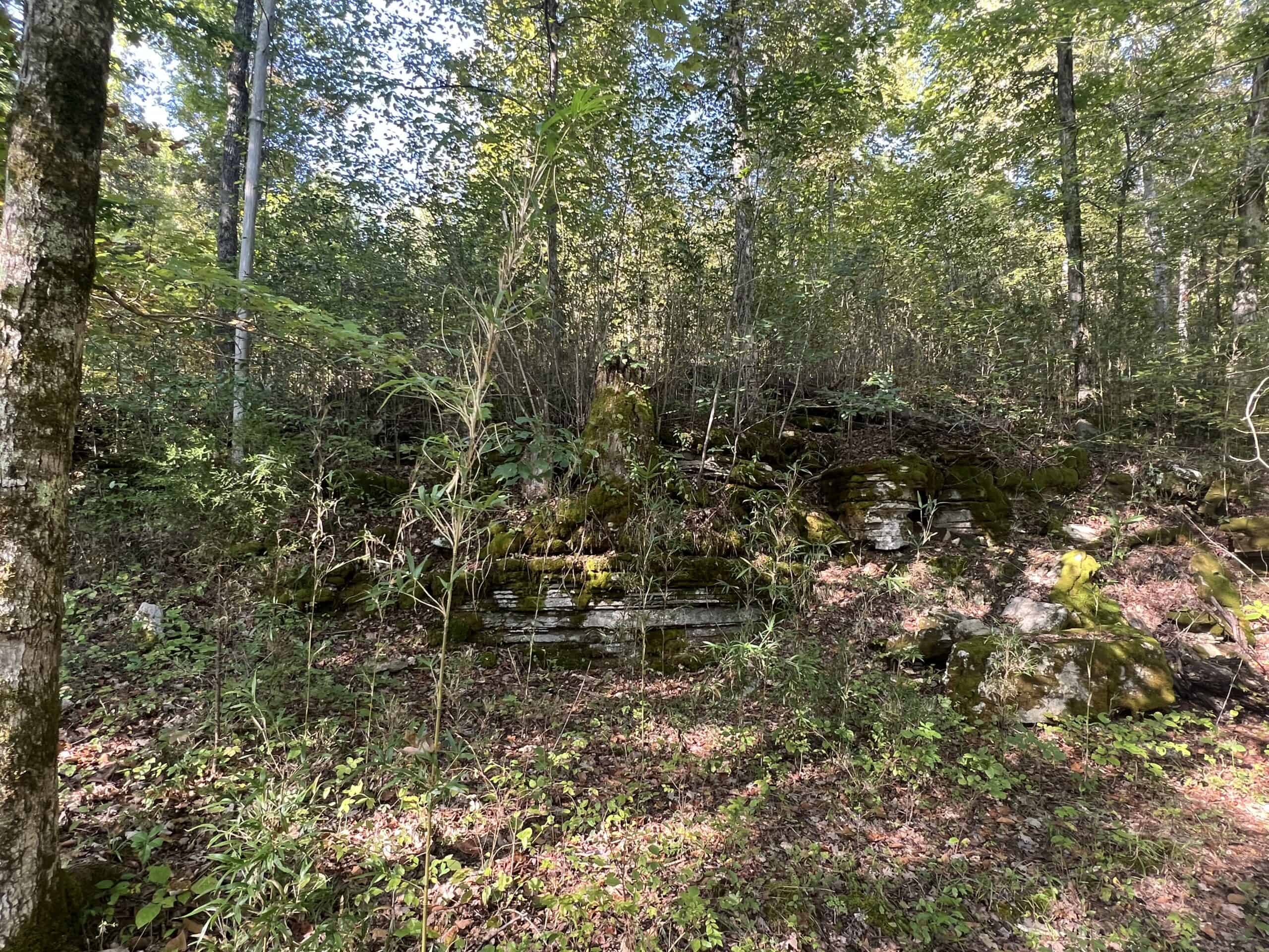 Tennessee Farm for Sale with Barn, Shop, Fencing, Septic, Creek, and Hunting